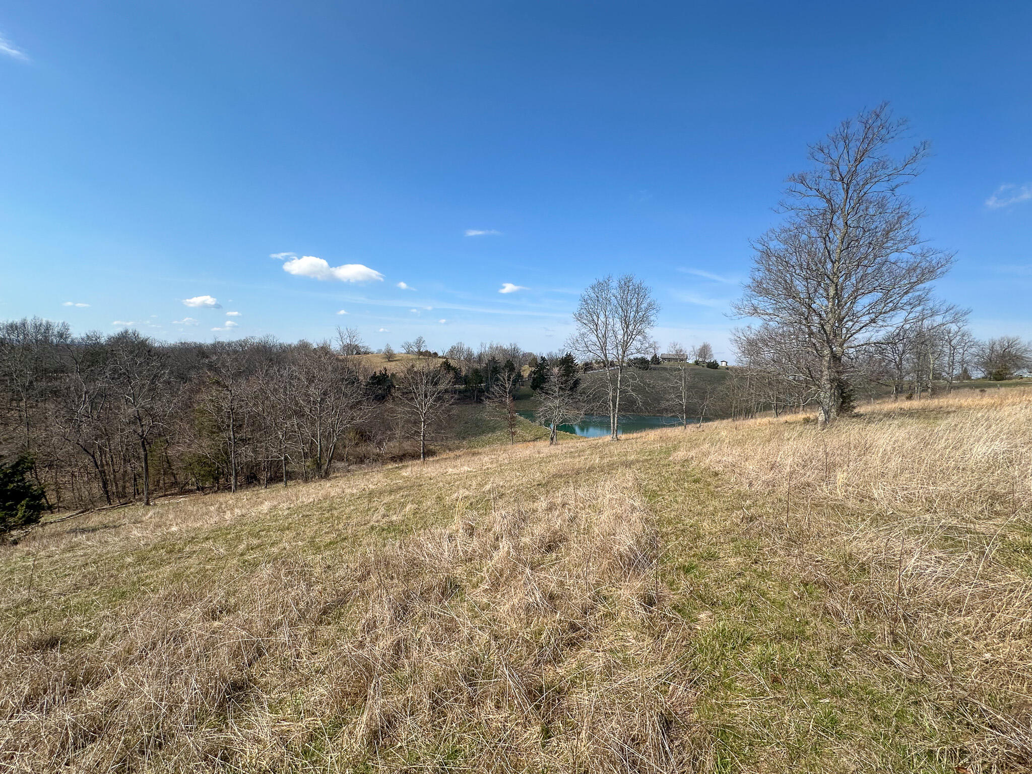 58 Beckett Road Property Photo 28
