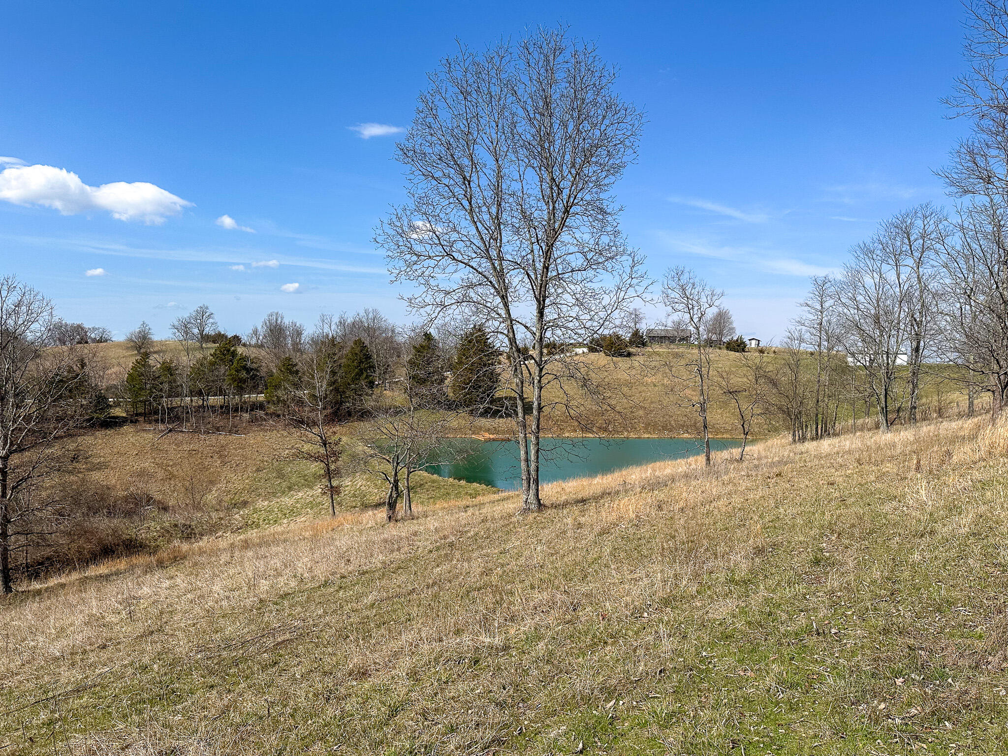 58 Beckett Road Property Photo 29