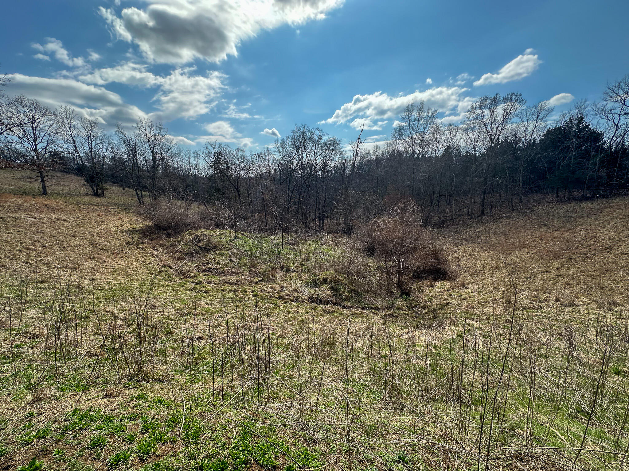 58 Beckett Road Property Photo 32