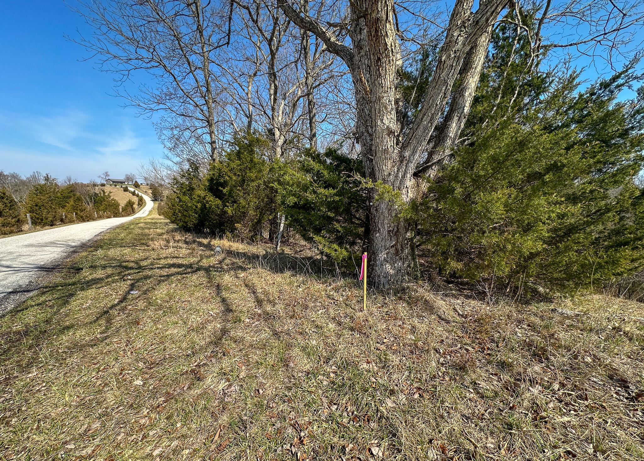 58 Beckett Road Property Photo 35