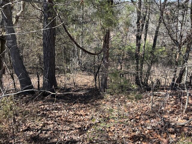 2347 Dreyfus Road Property Photo 22