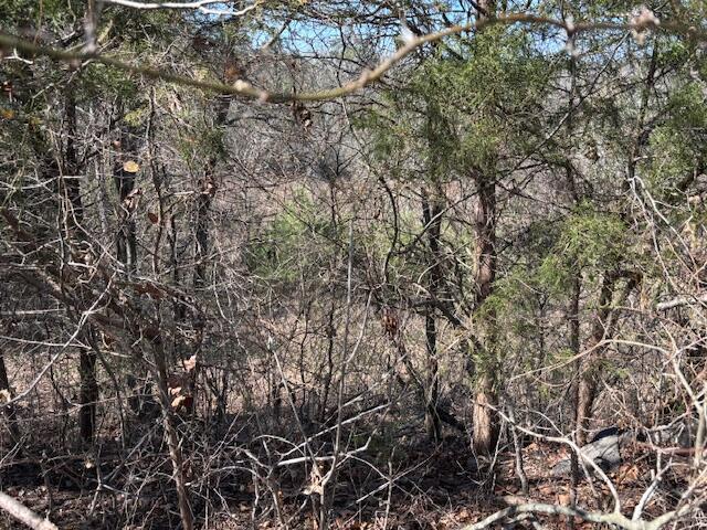 2347 Dreyfus Road Property Photo 23