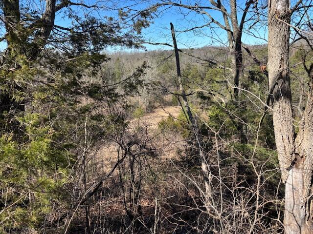 2347 Dreyfus Road Property Photo 24