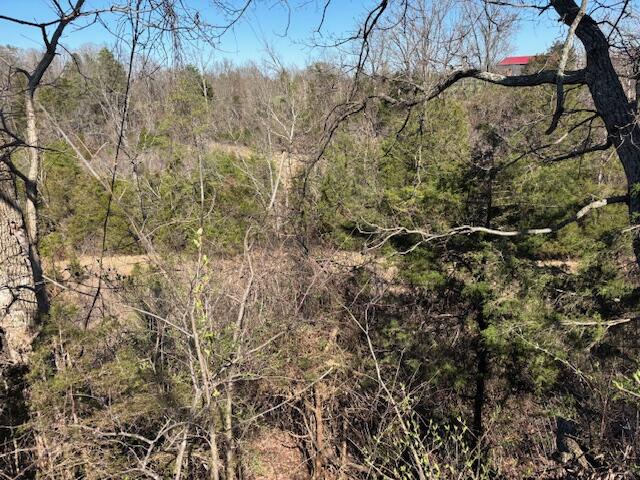2347 Dreyfus Road Property Photo 26