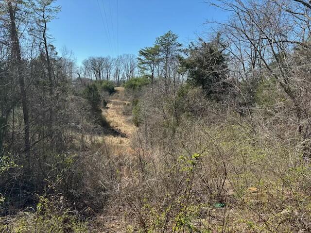 2347 Dreyfus Road Property Photo 28