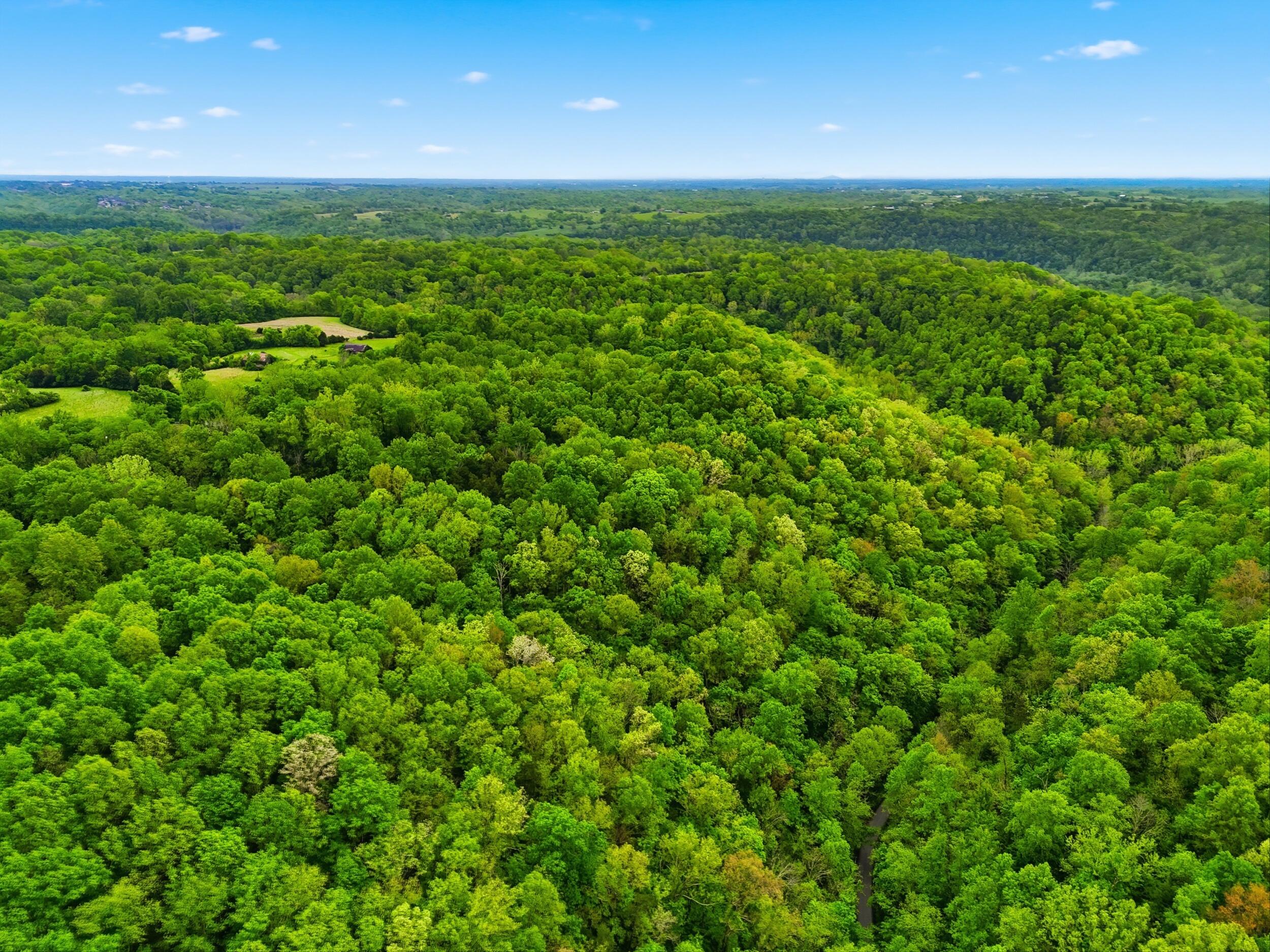 7600 Old Dry Branch Road Property Photo 15