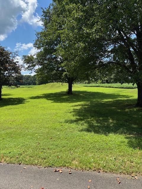 1 Nelson Mill Road Property Photo 15