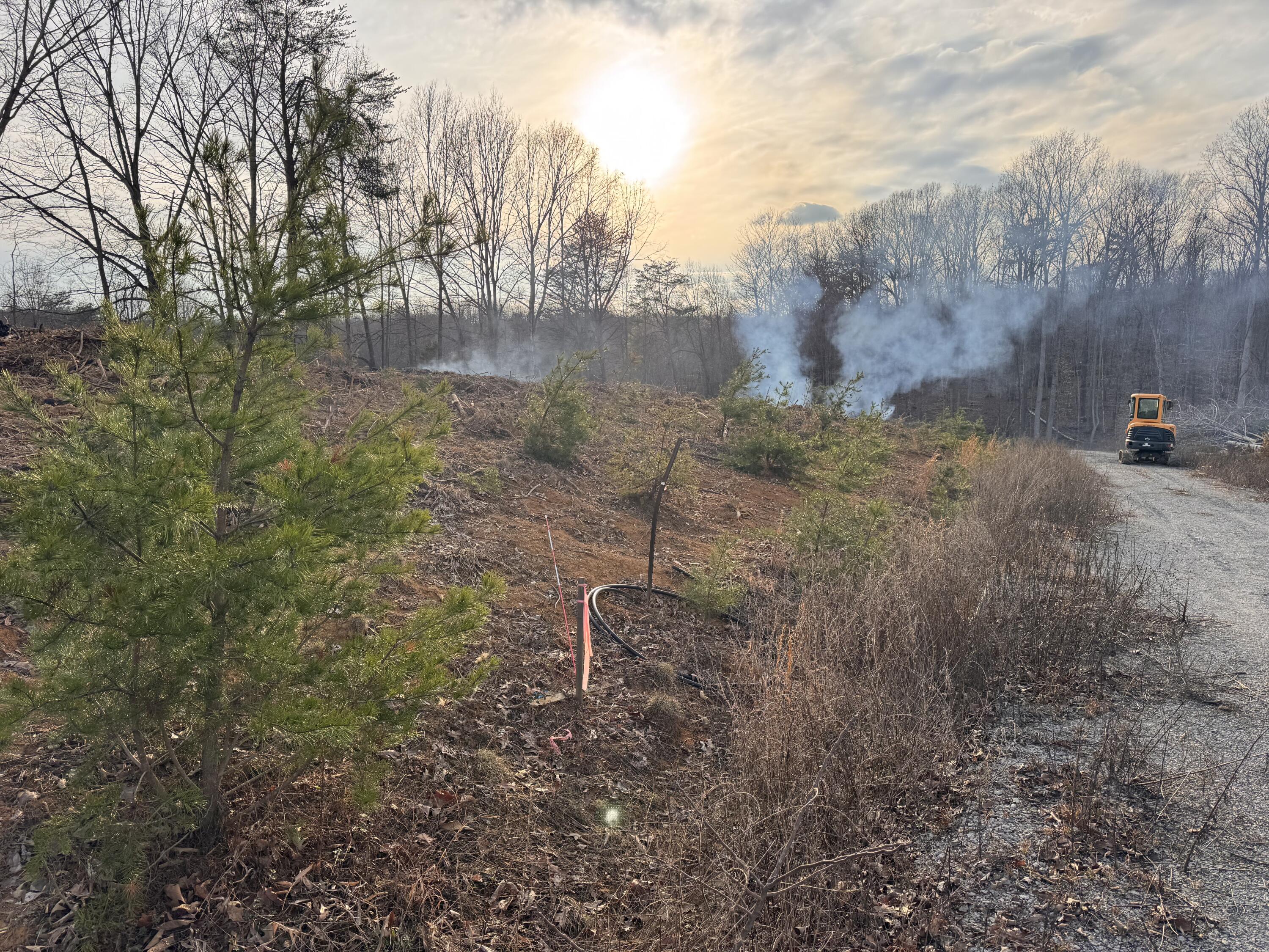 100 Piney Woods Rd Property Photo 1