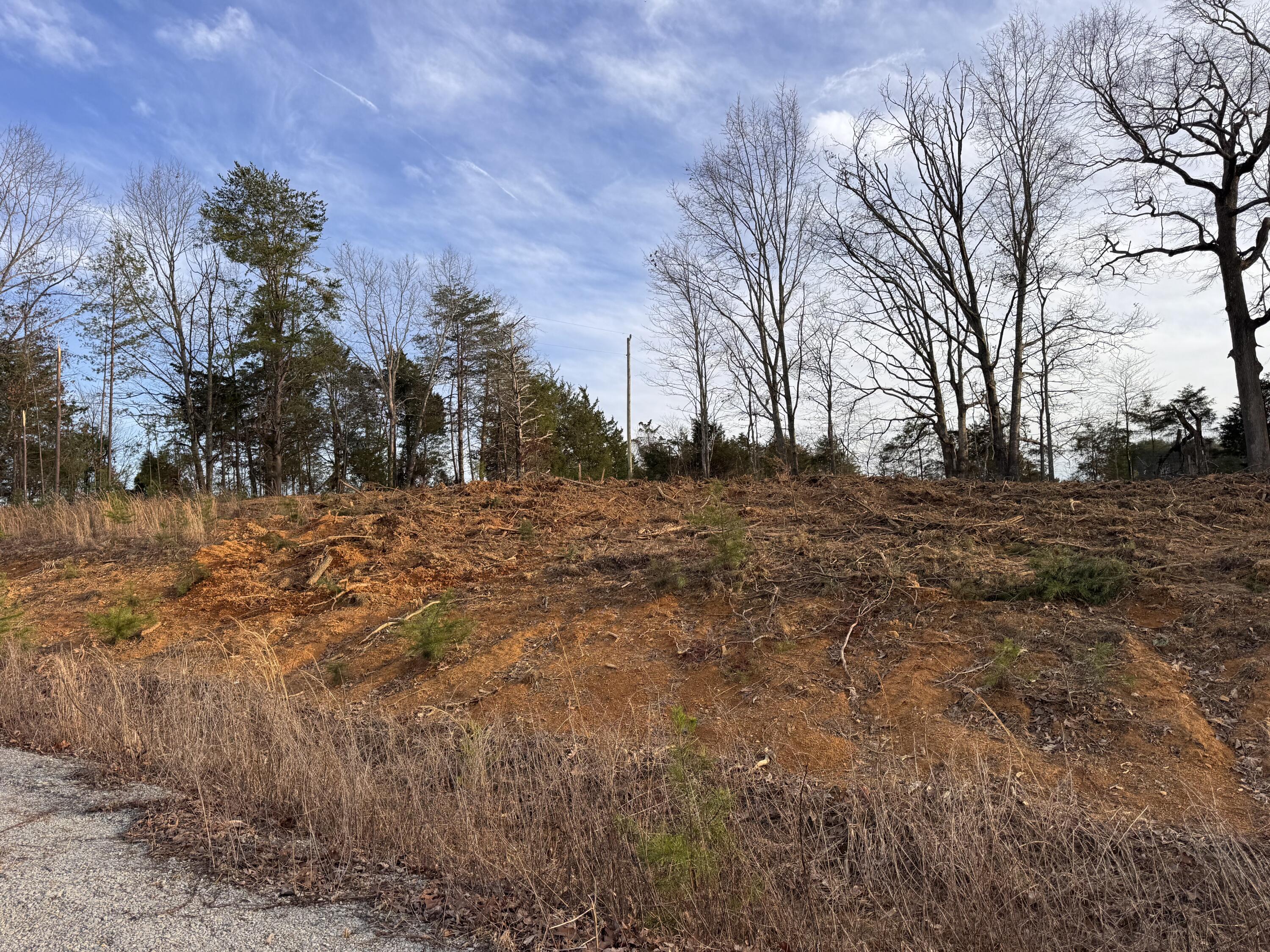 100 Piney Woods Rd Property Photo 3