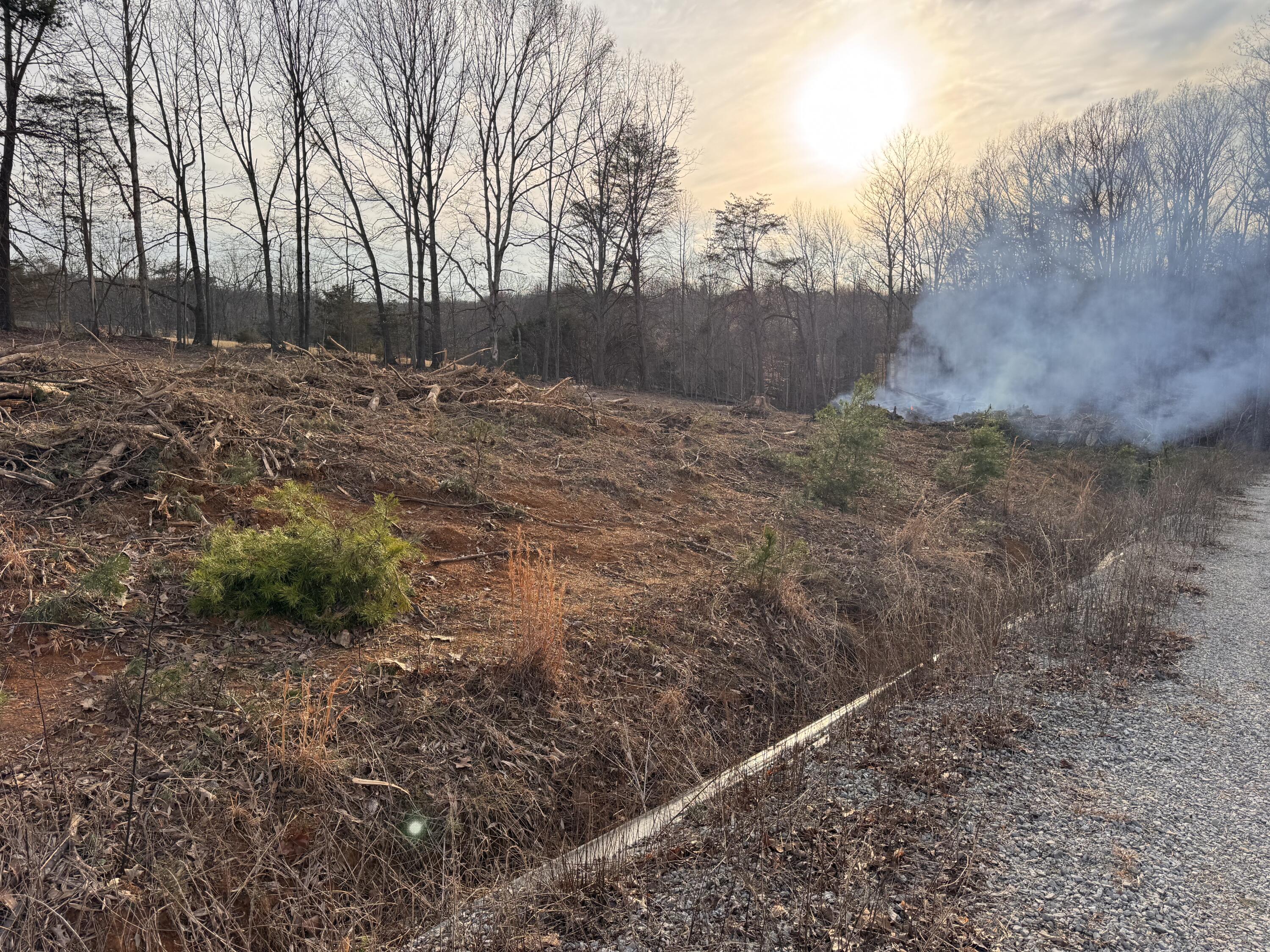 100 Piney Woods Rd Property Photo 4