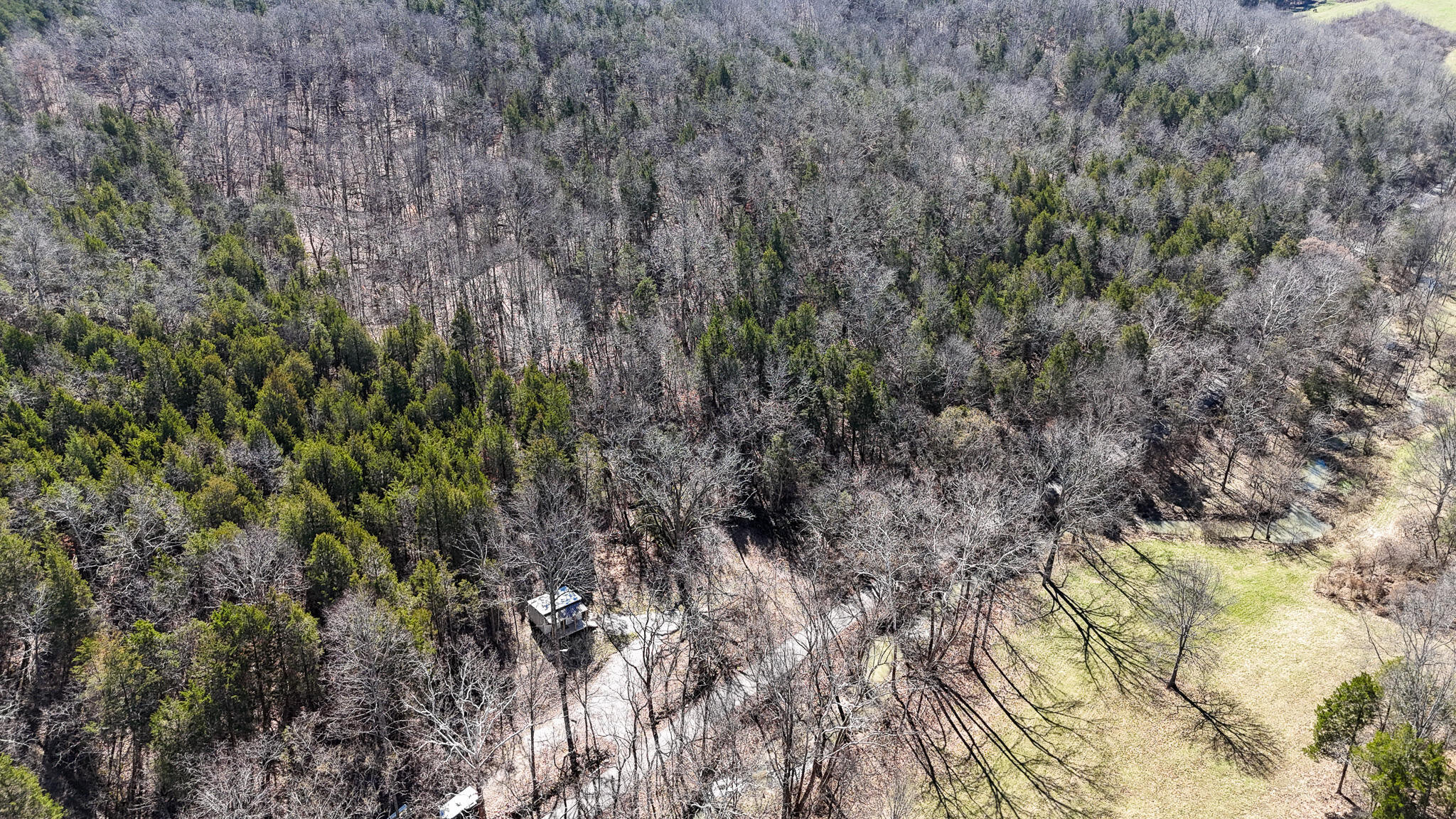 00 Fork Lick Road Property Photo 6