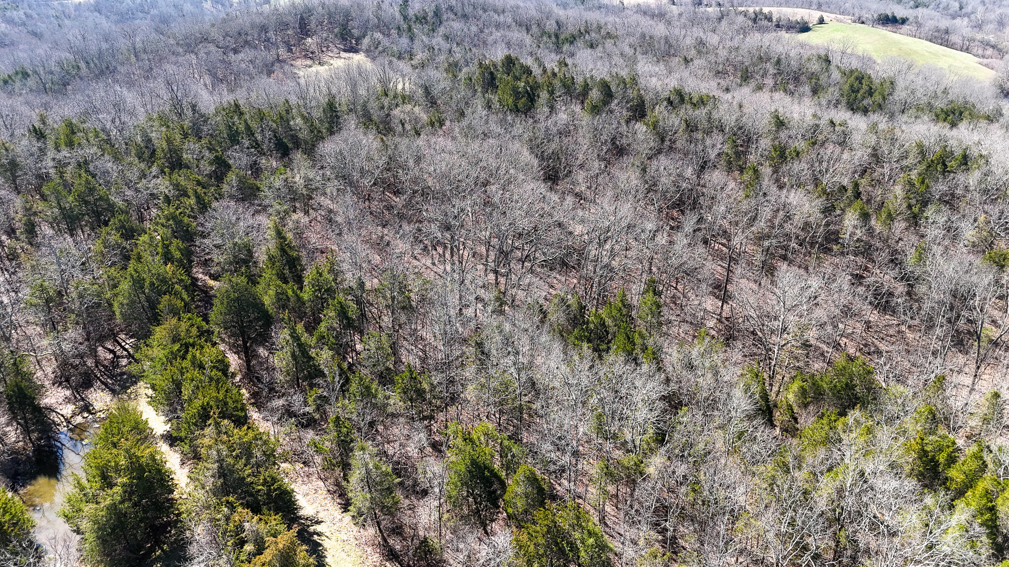 00 Fork Lick Road Property Photo 7