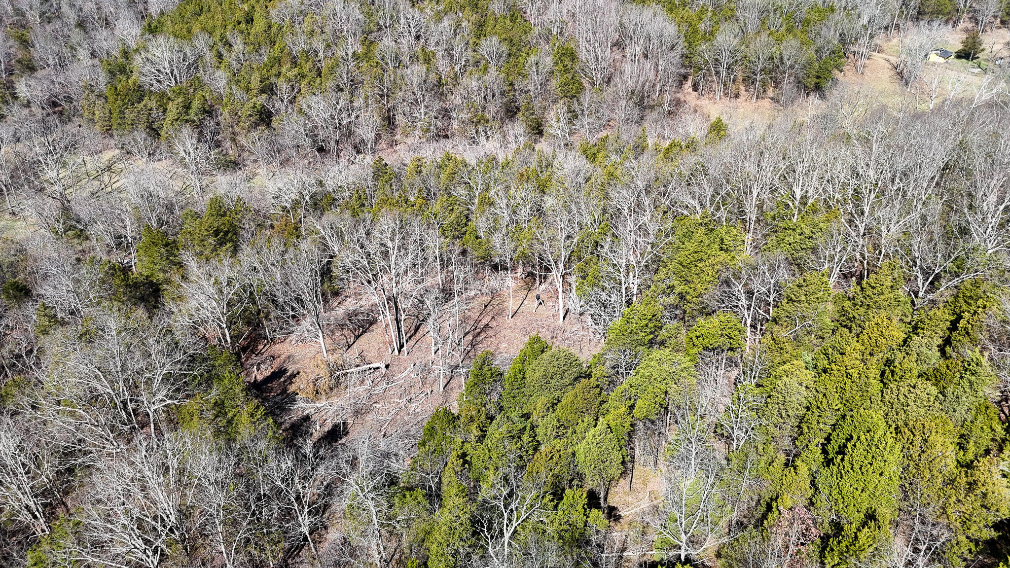 00 Fork Lick Road Property Photo 8