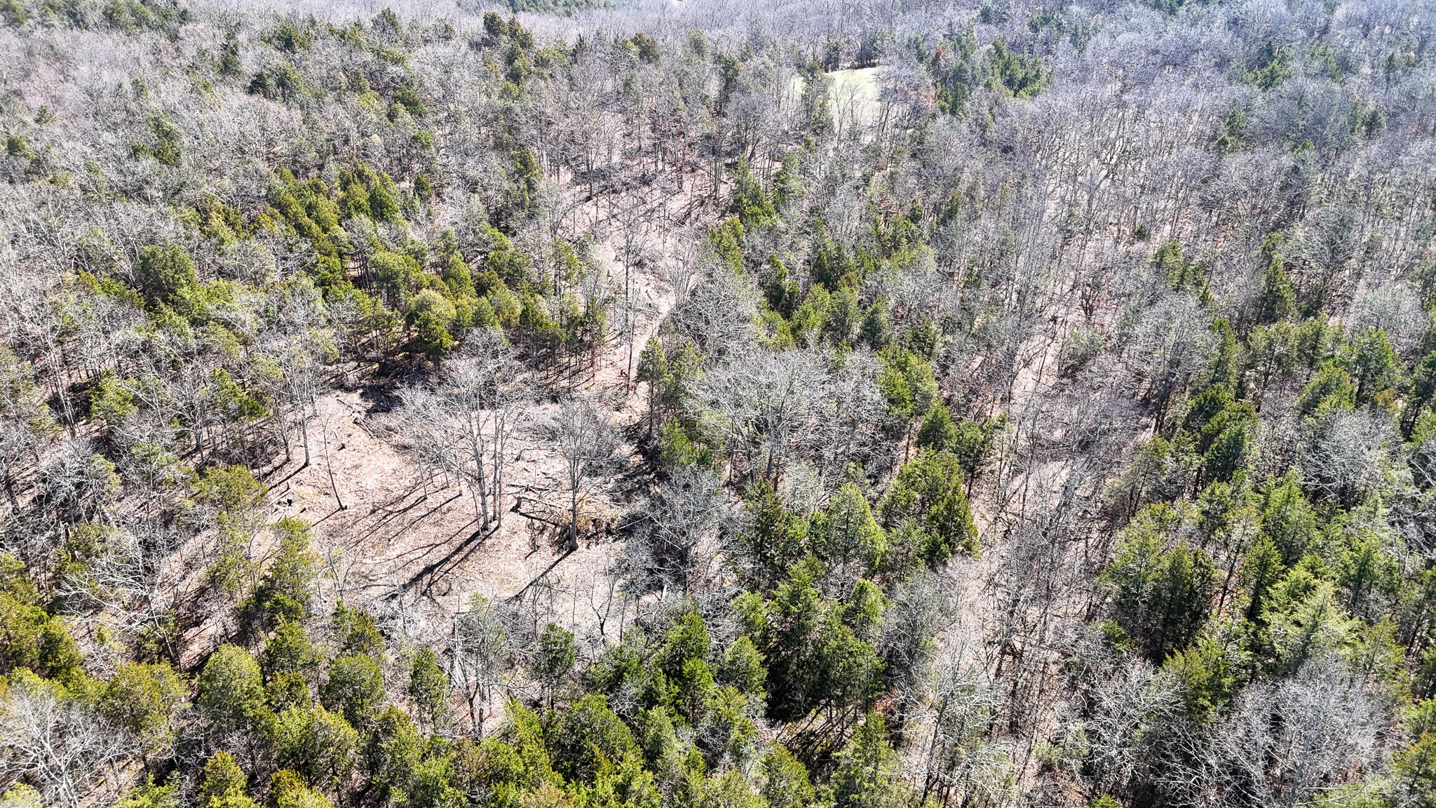 00 Fork Lick Road Property Photo 9