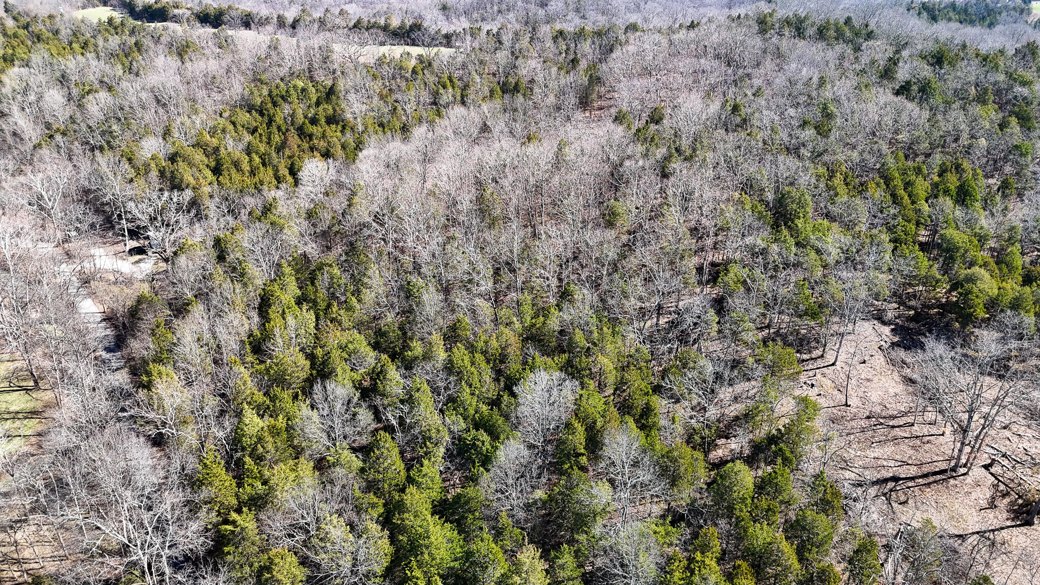 00 Fork Lick Road Property Photo 10