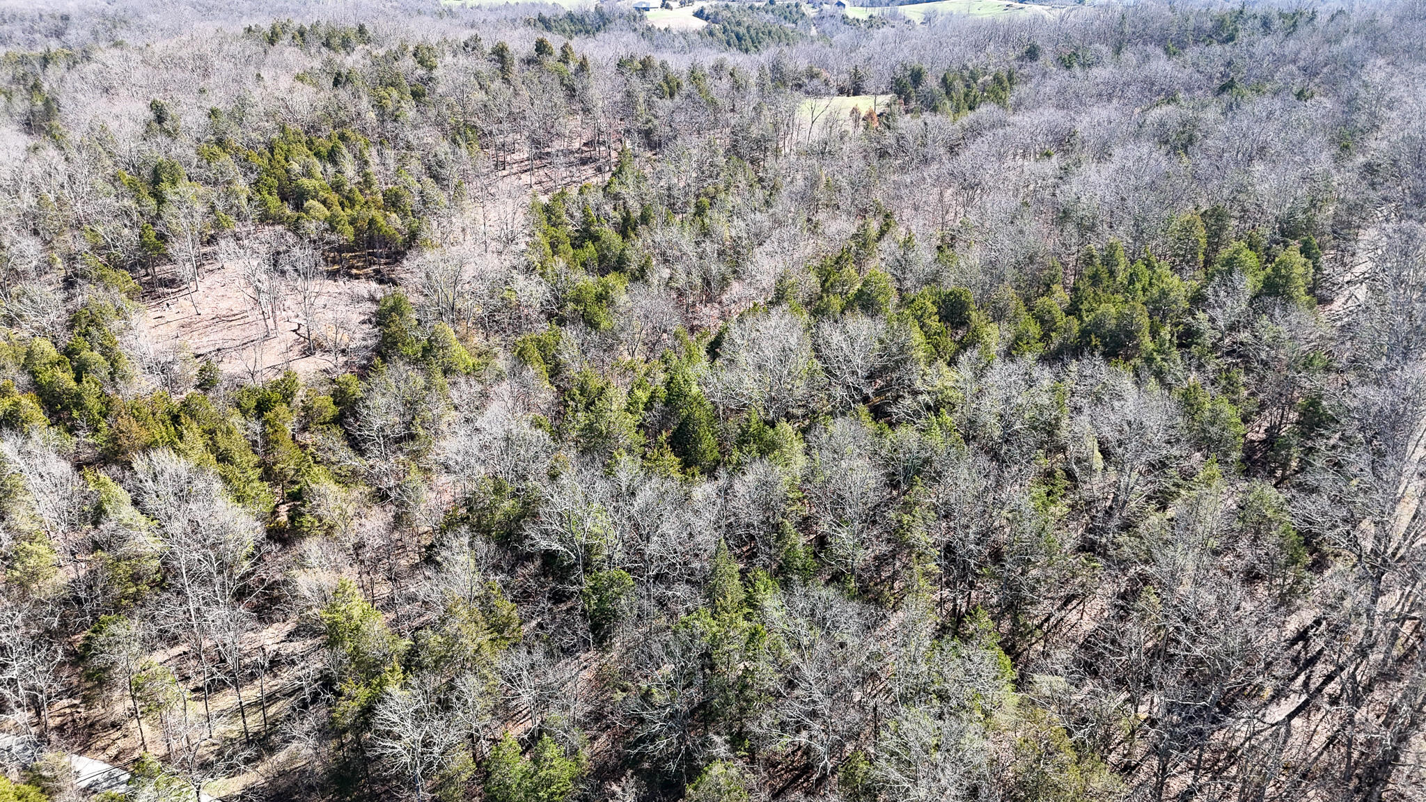 00 Fork Lick Road Property Photo 11