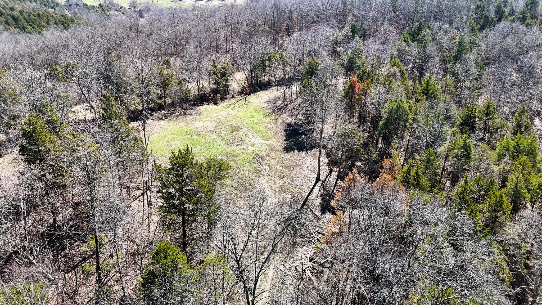 00 Fork Lick Road Property Photo 12