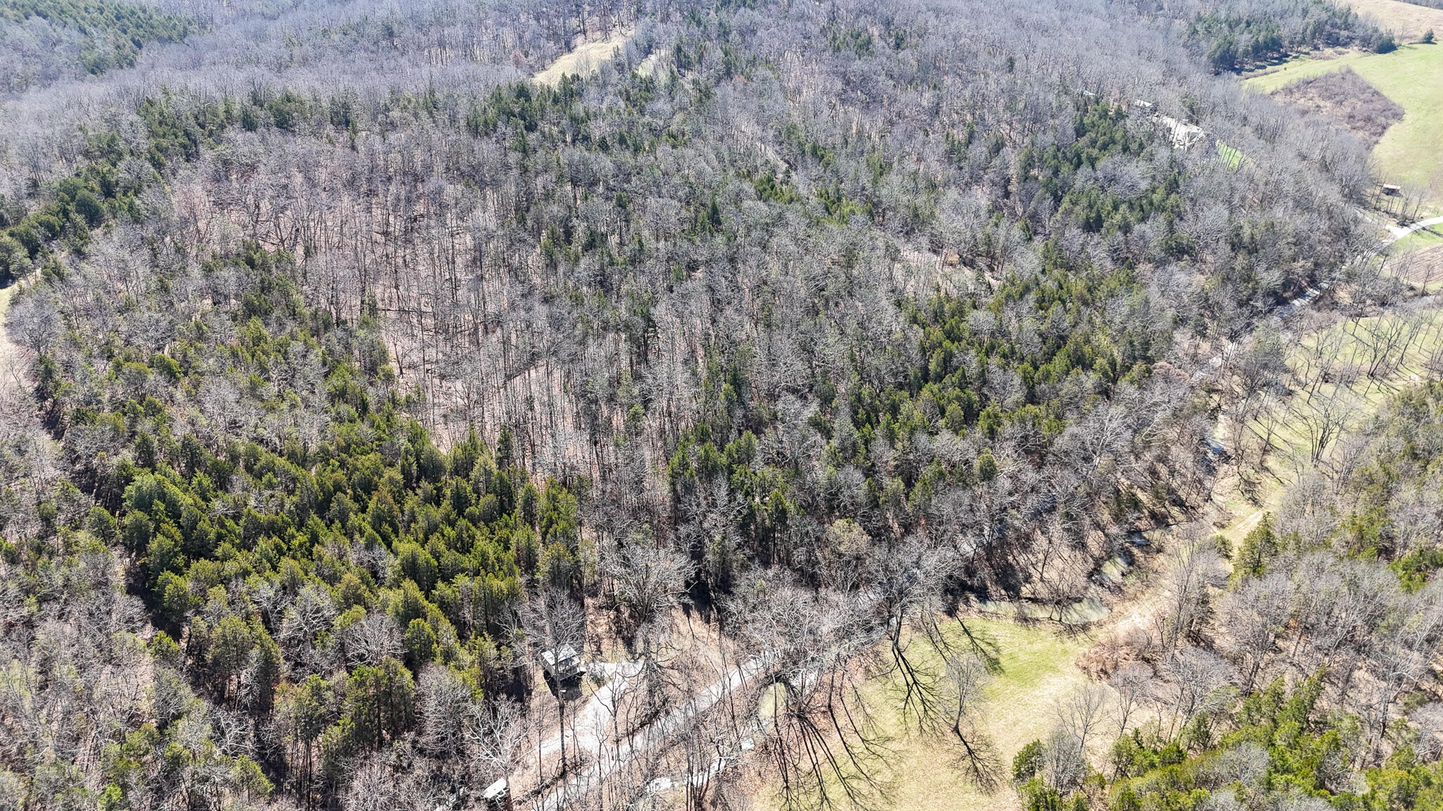 00 Fork Lick Road Property Photo 13