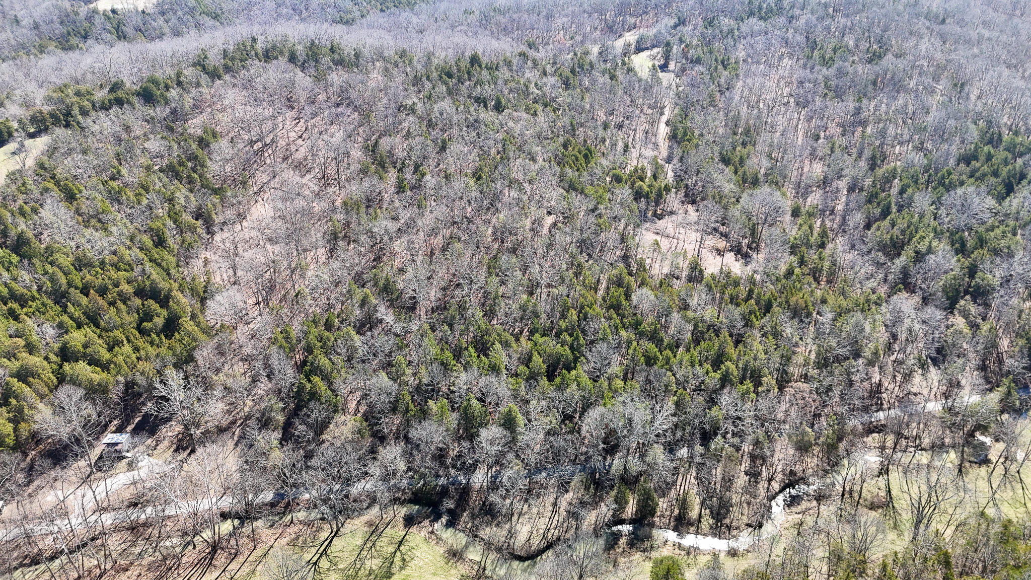 00 Fork Lick Road Property Photo 14