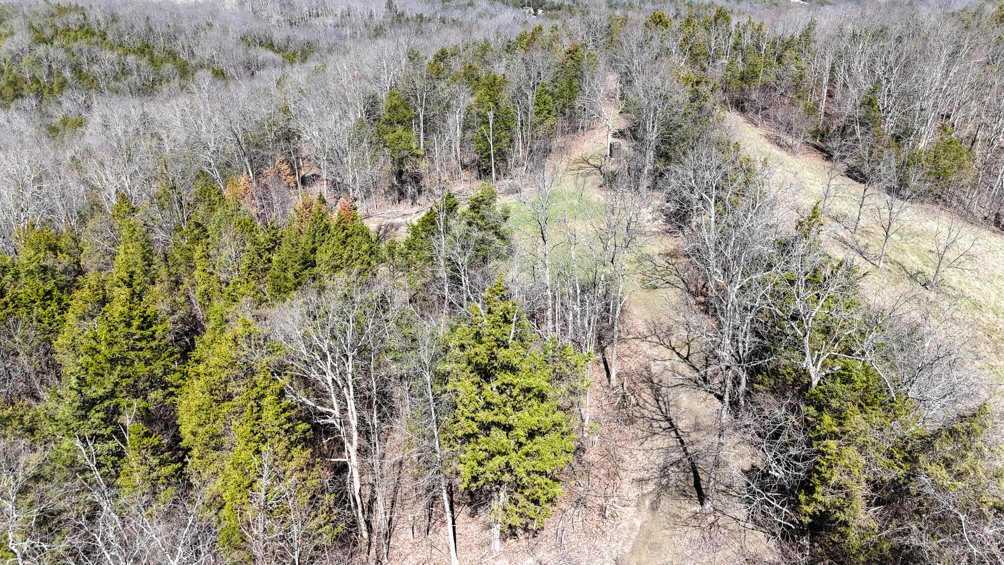 00 Fork Lick Road Property Photo 16