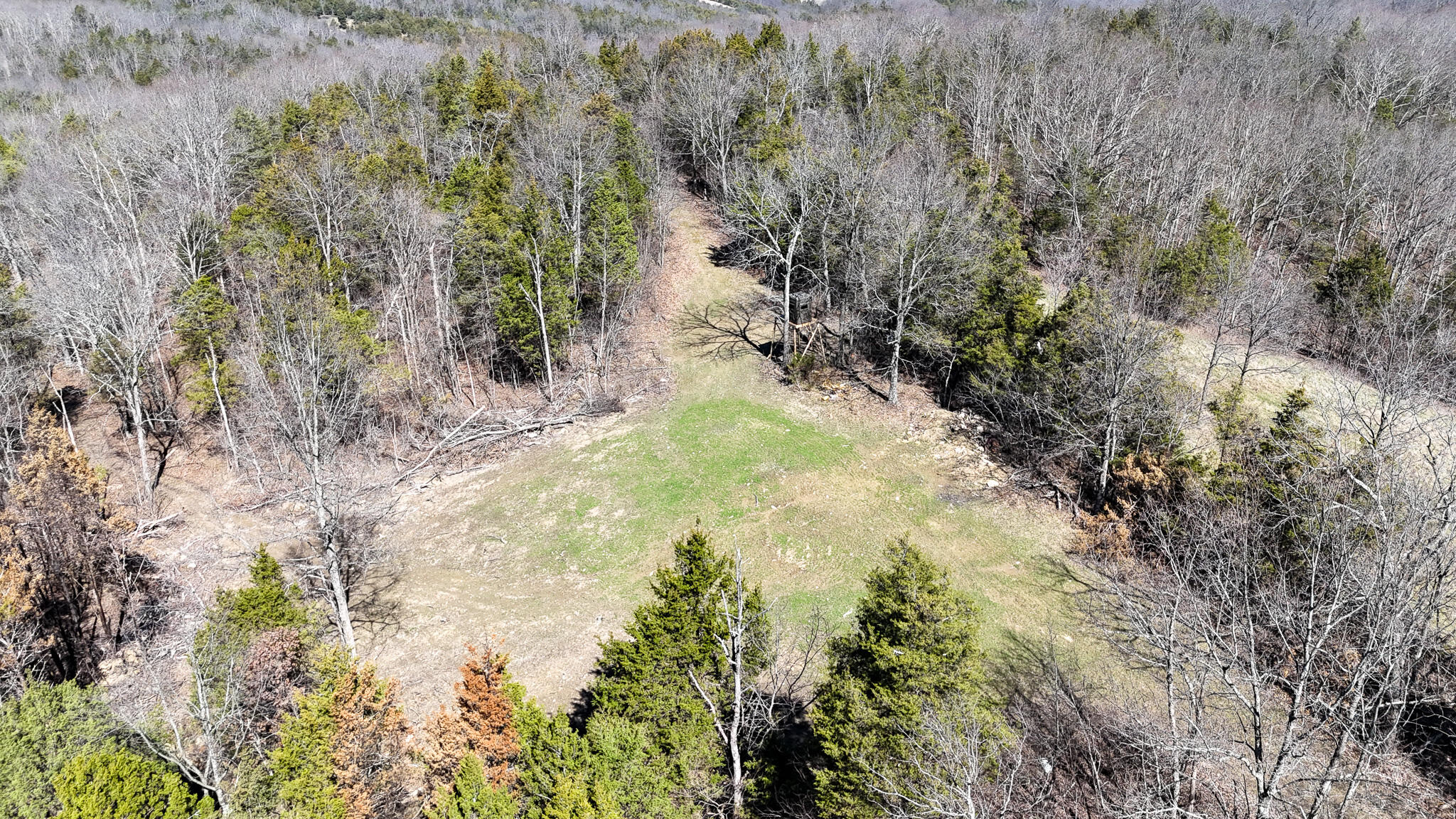 00 Fork Lick Road Property Photo 17