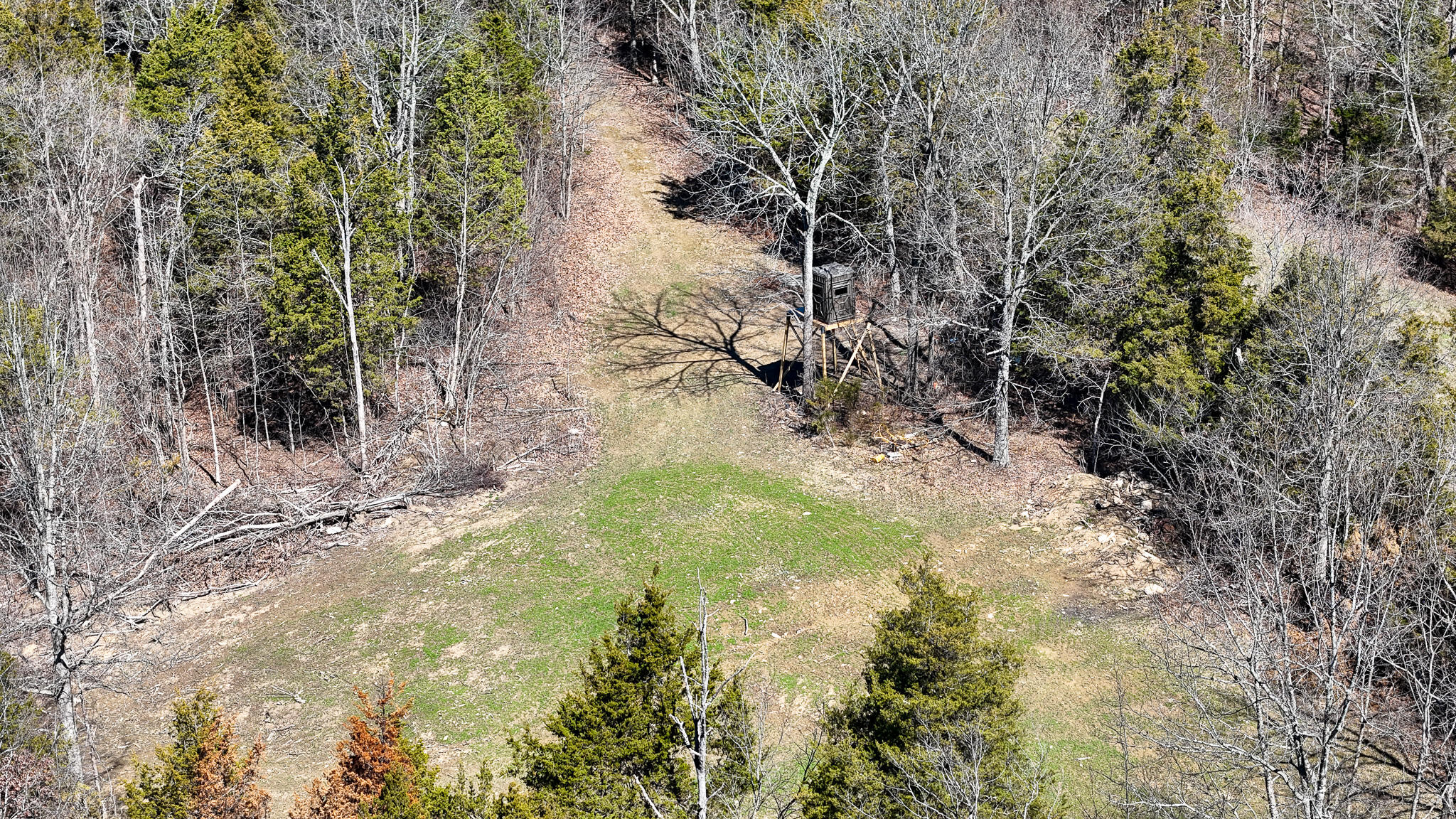 00 Fork Lick Road Property Photo 18
