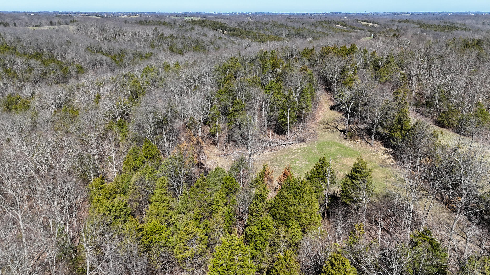 00 Fork Lick Road Property Photo 19
