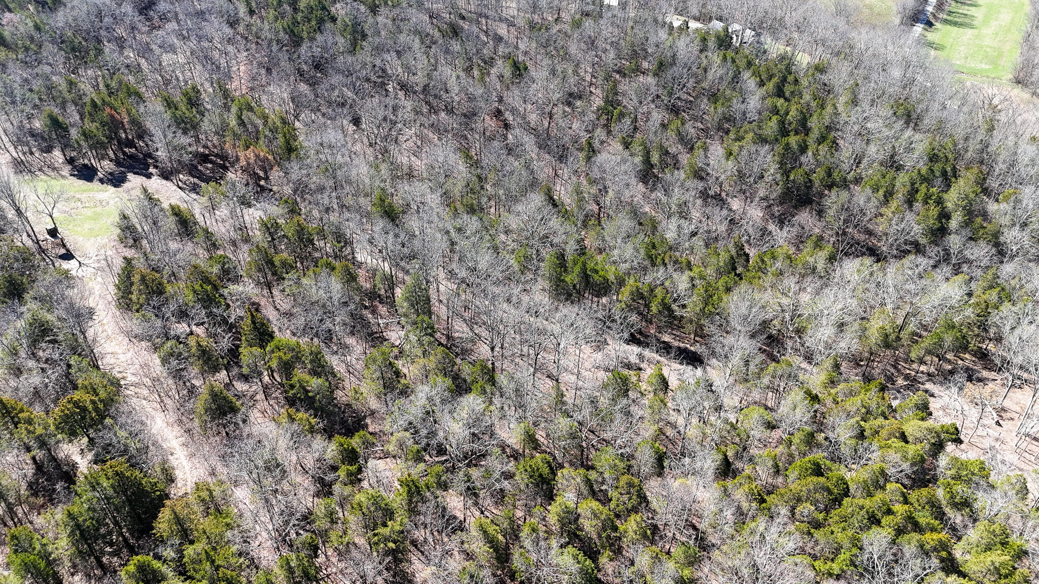 00 Fork Lick Road Property Photo 20