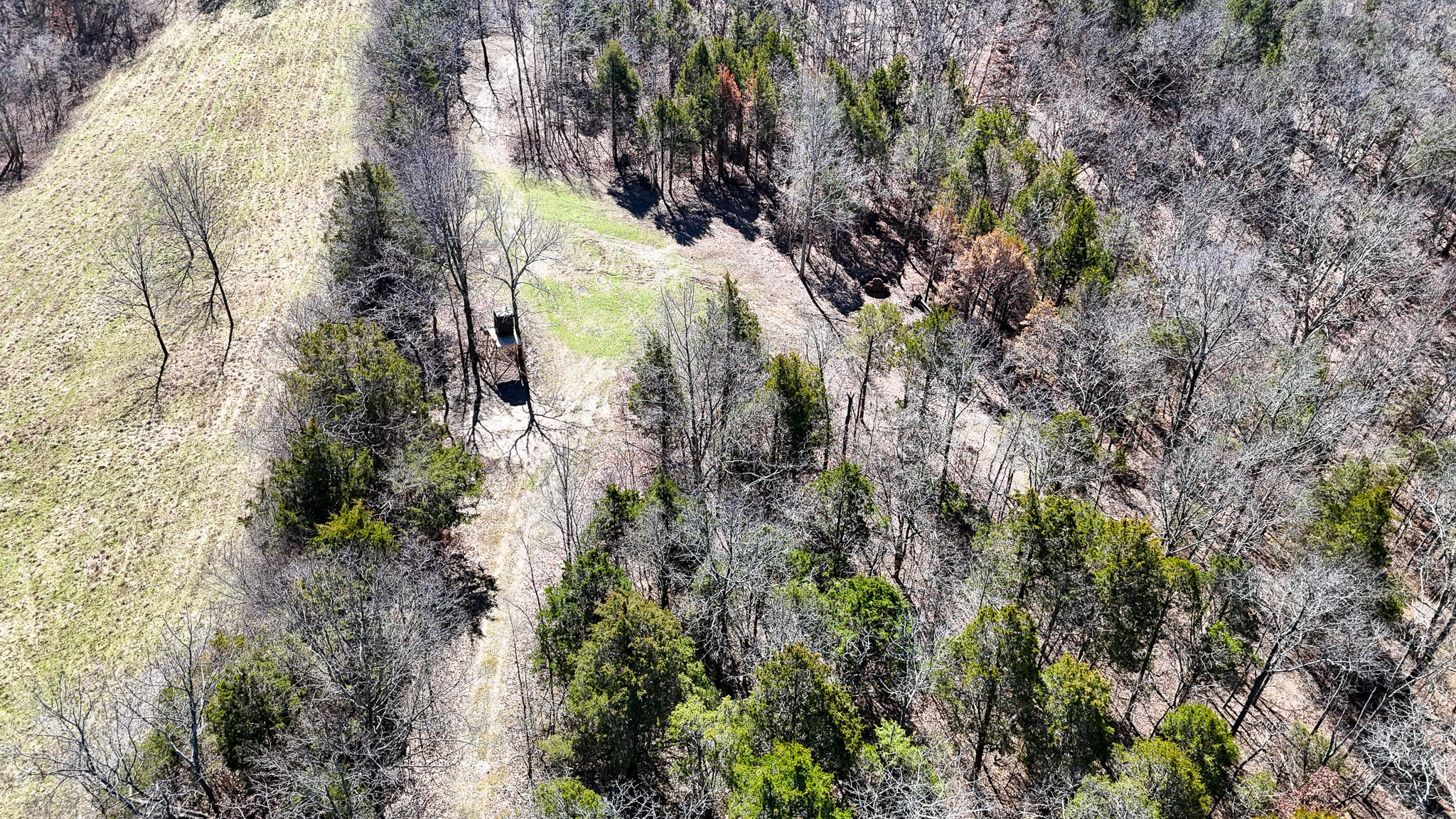 00 Fork Lick Road Property Photo 21