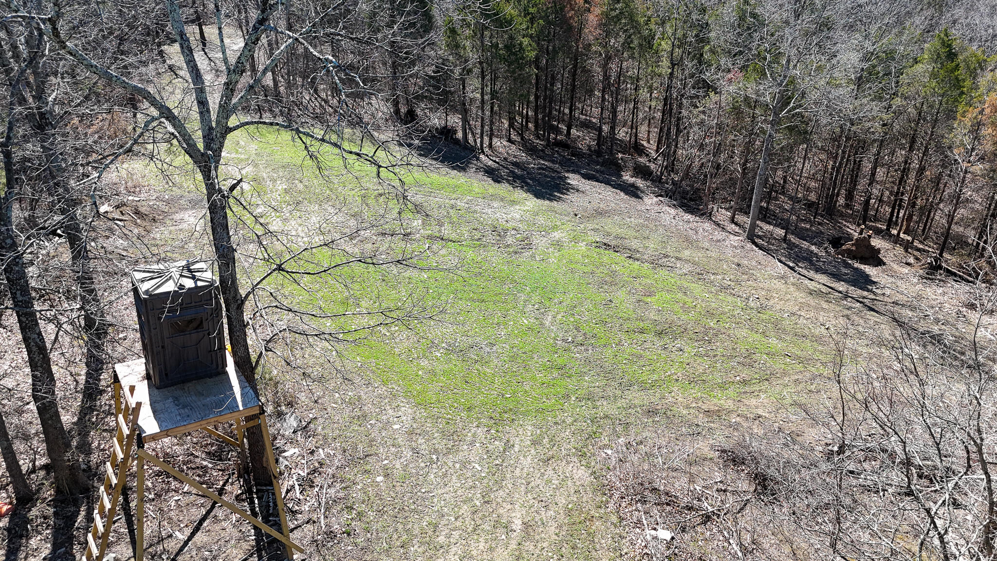 00 Fork Lick Road Property Photo 22