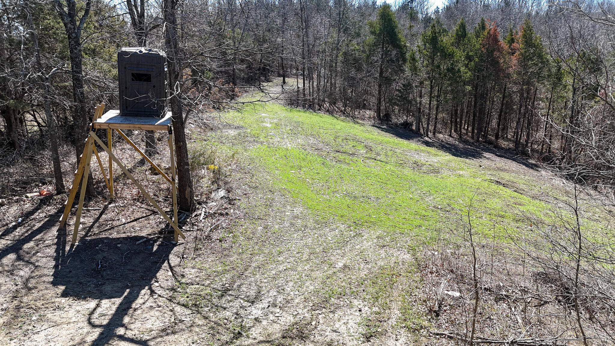 00 Fork Lick Road Property Photo 23