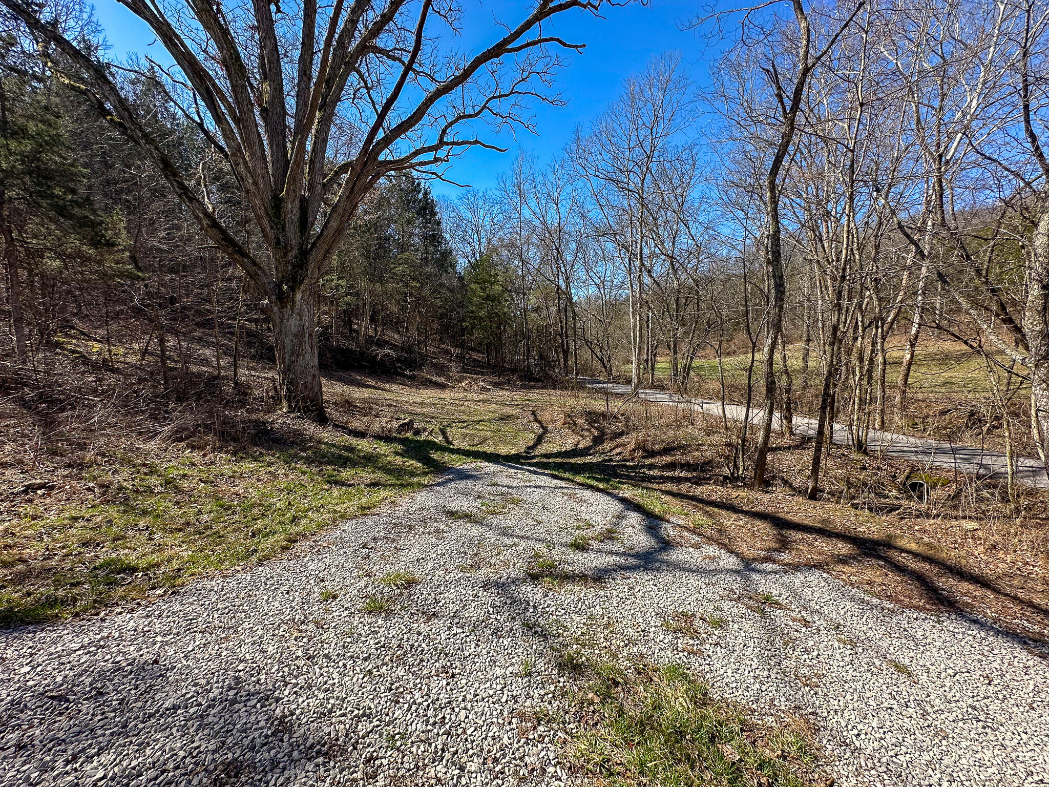 00 Fork Lick Road Property Photo 30