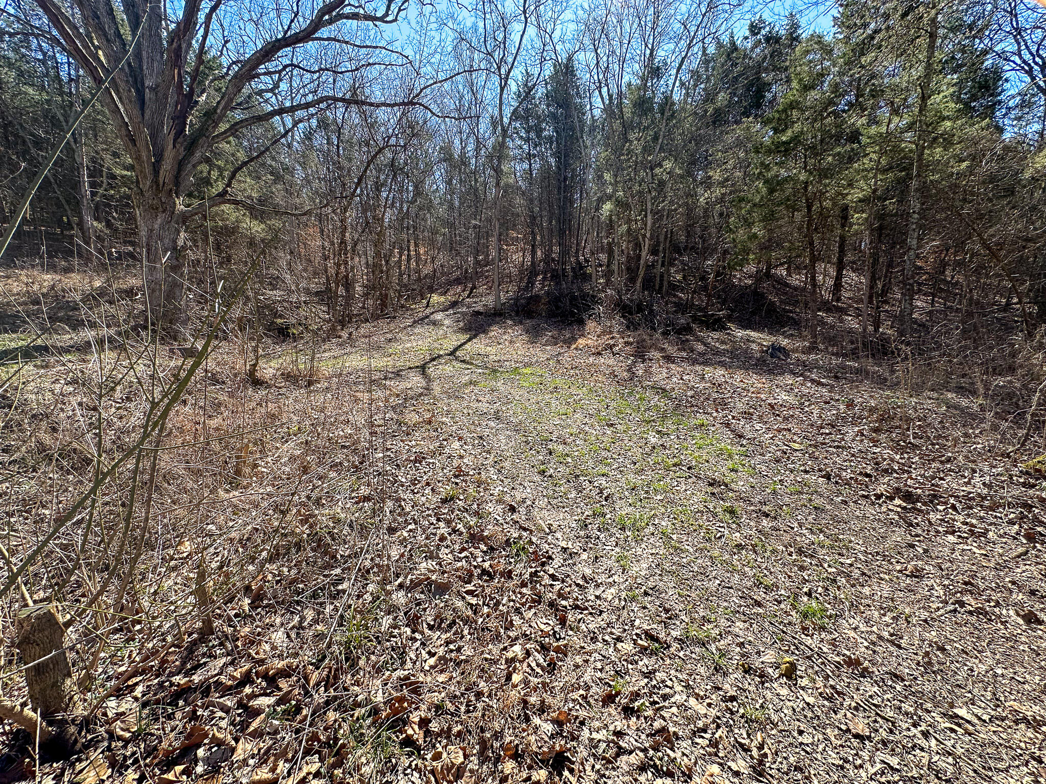 00 Fork Lick Road Property Photo 32