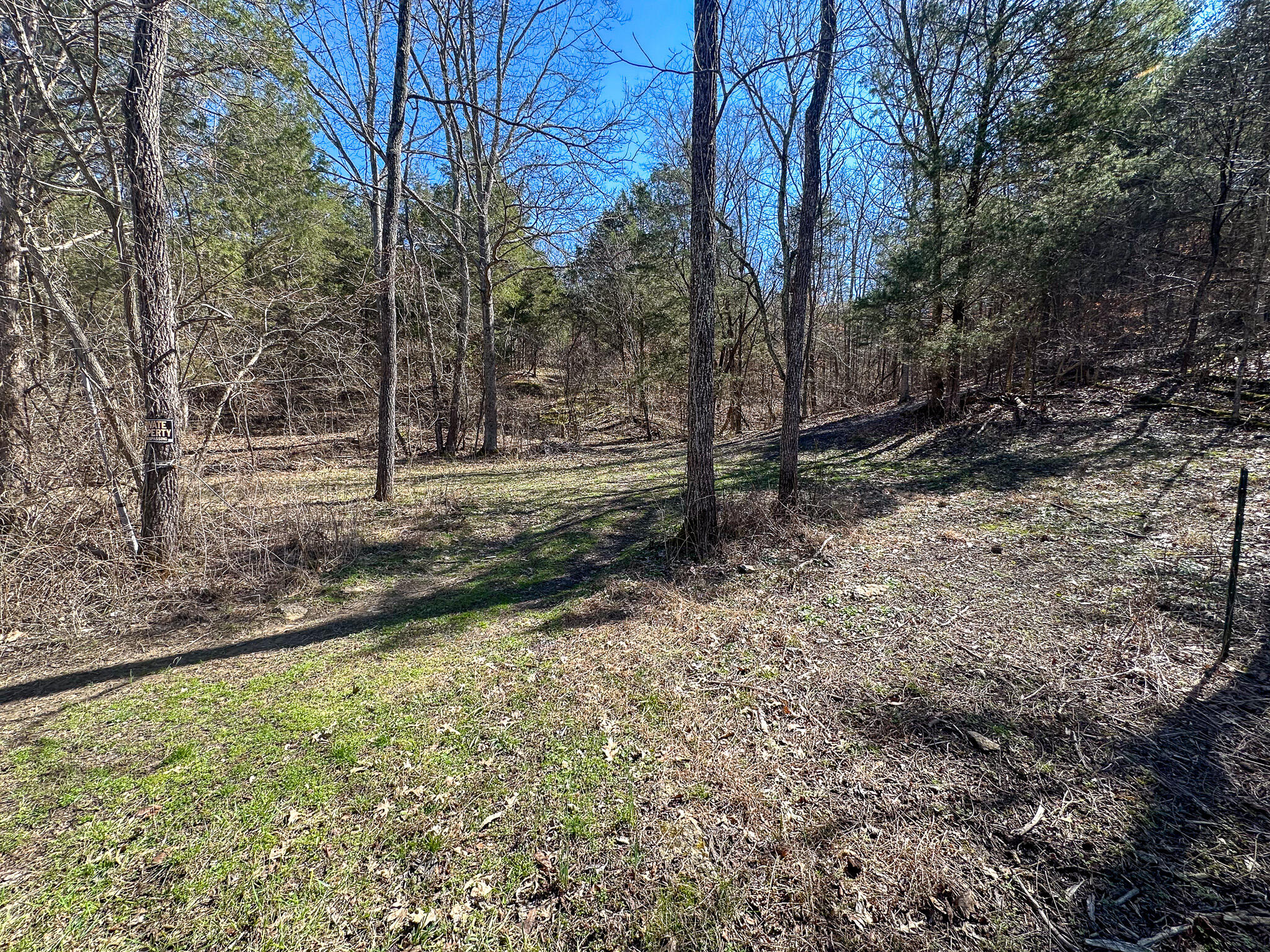 00 Fork Lick Road Property Photo 33