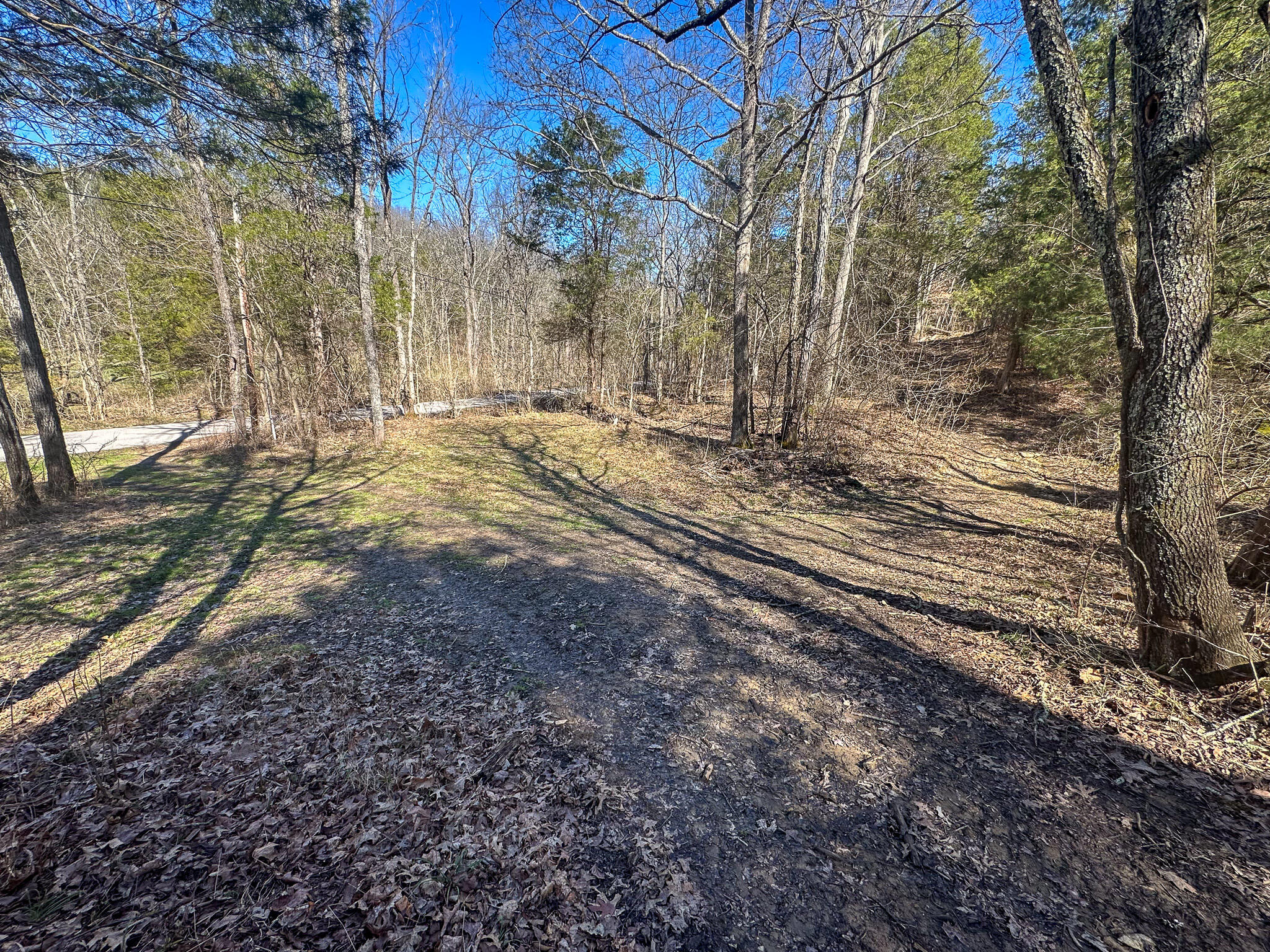 00 Fork Lick Road Property Photo 34