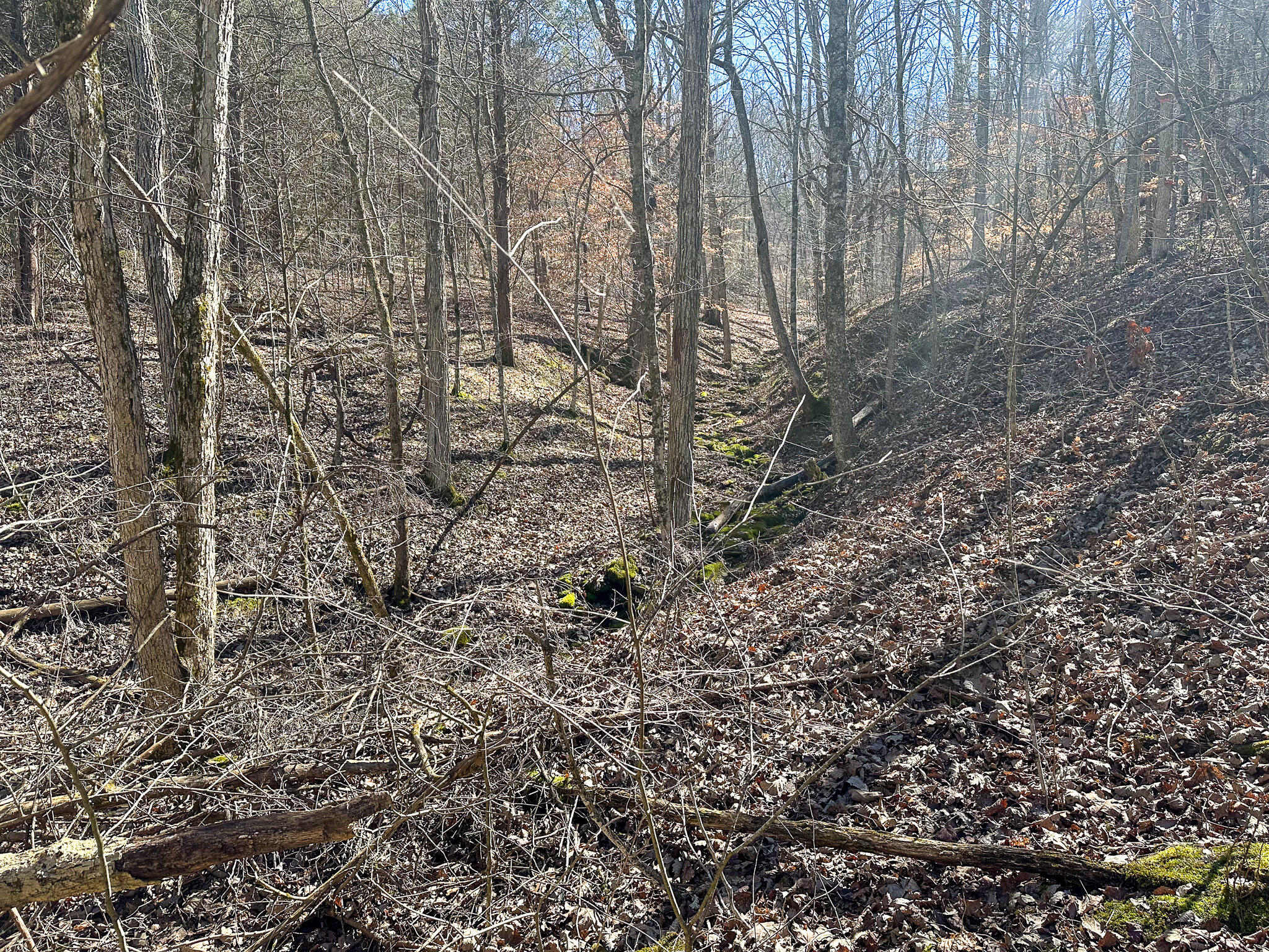 00 Fork Lick Road Property Photo 35