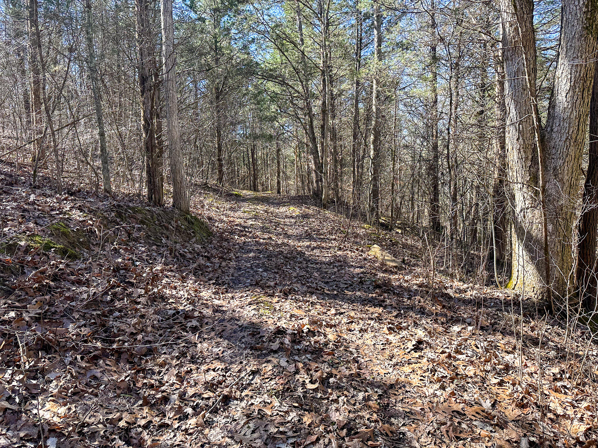 00 Fork Lick Road Property Photo 36