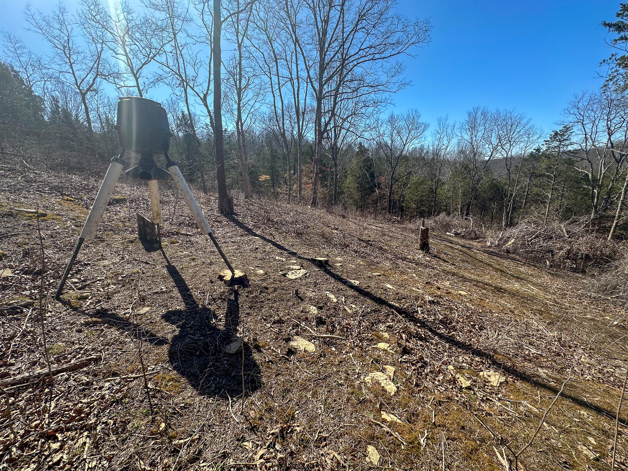00 Fork Lick Road Property Photo 37