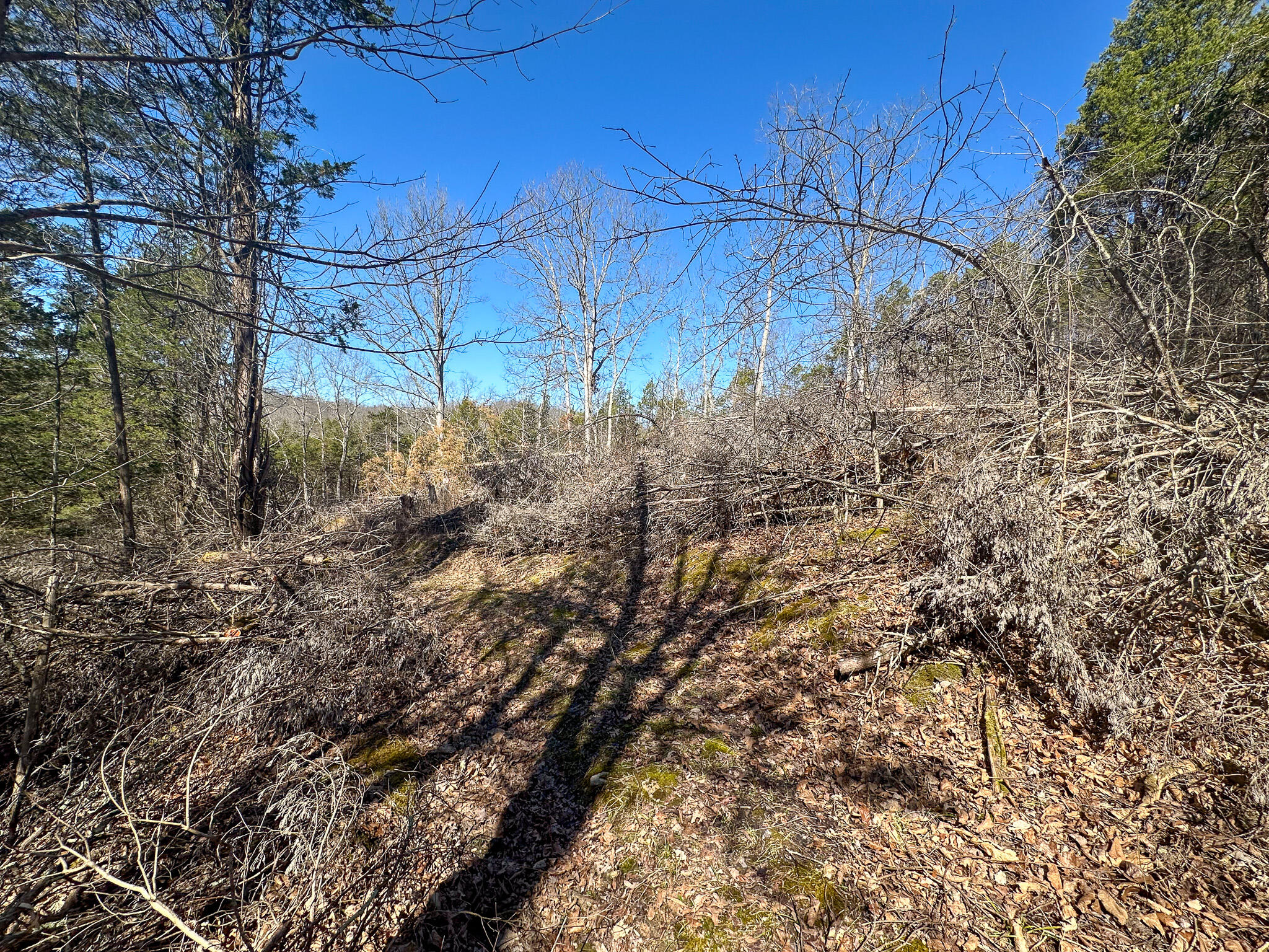 00 Fork Lick Road Property Photo 38