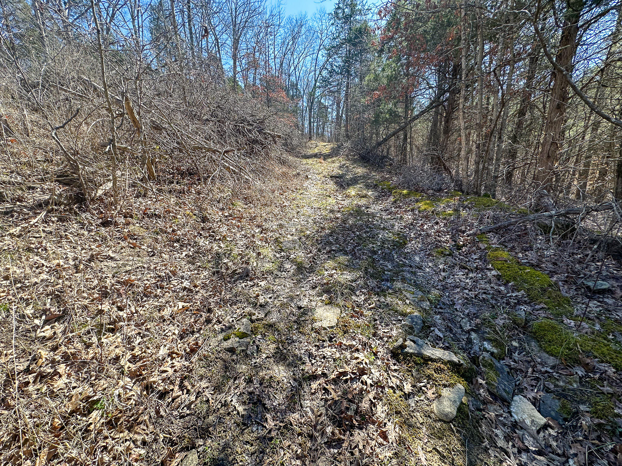 00 Fork Lick Road Property Photo 39