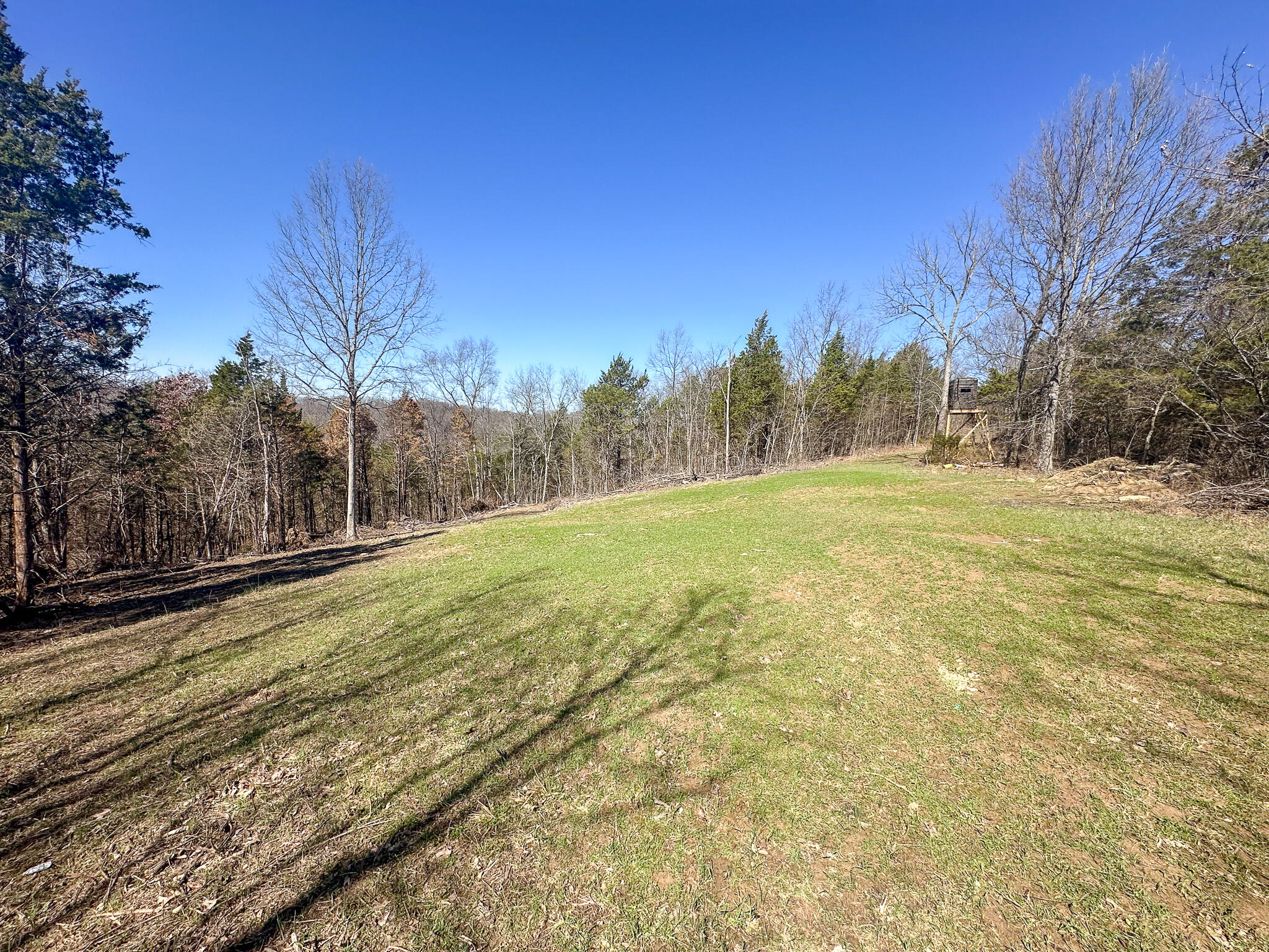 00 Fork Lick Road Property Photo 40