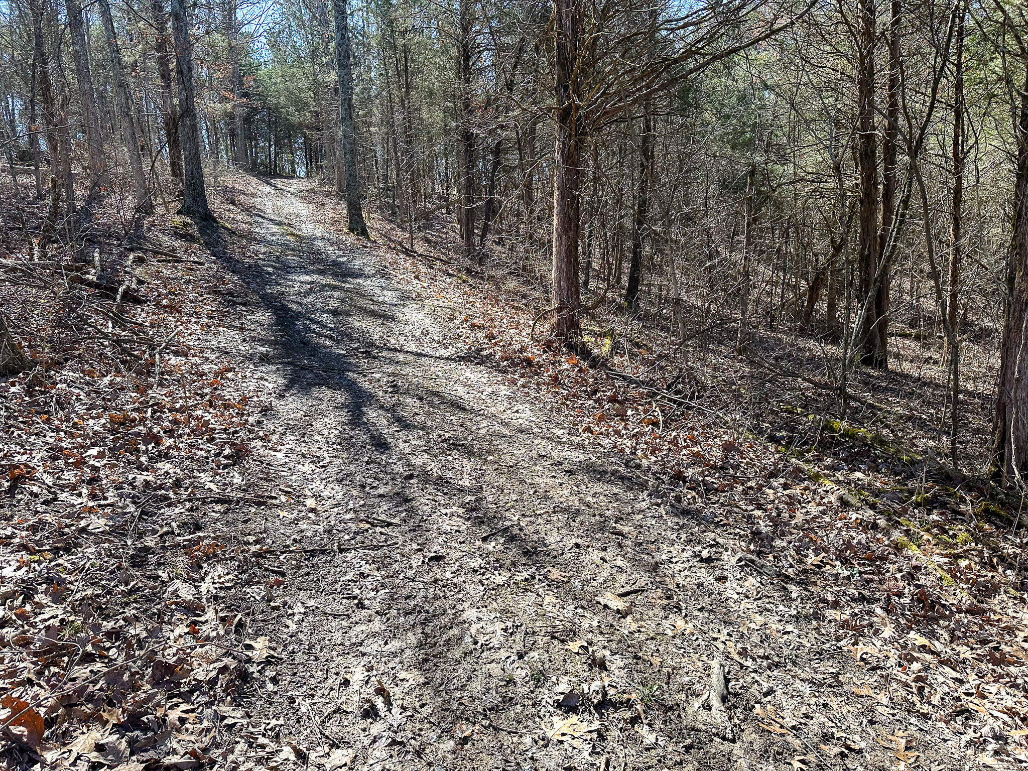 00 Fork Lick Road Property Photo 41
