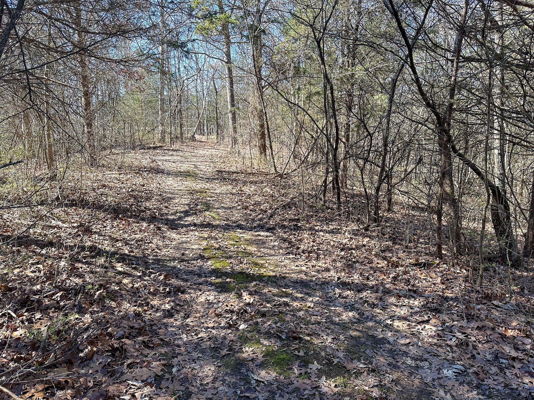 00 Fork Lick Road Property Photo 42