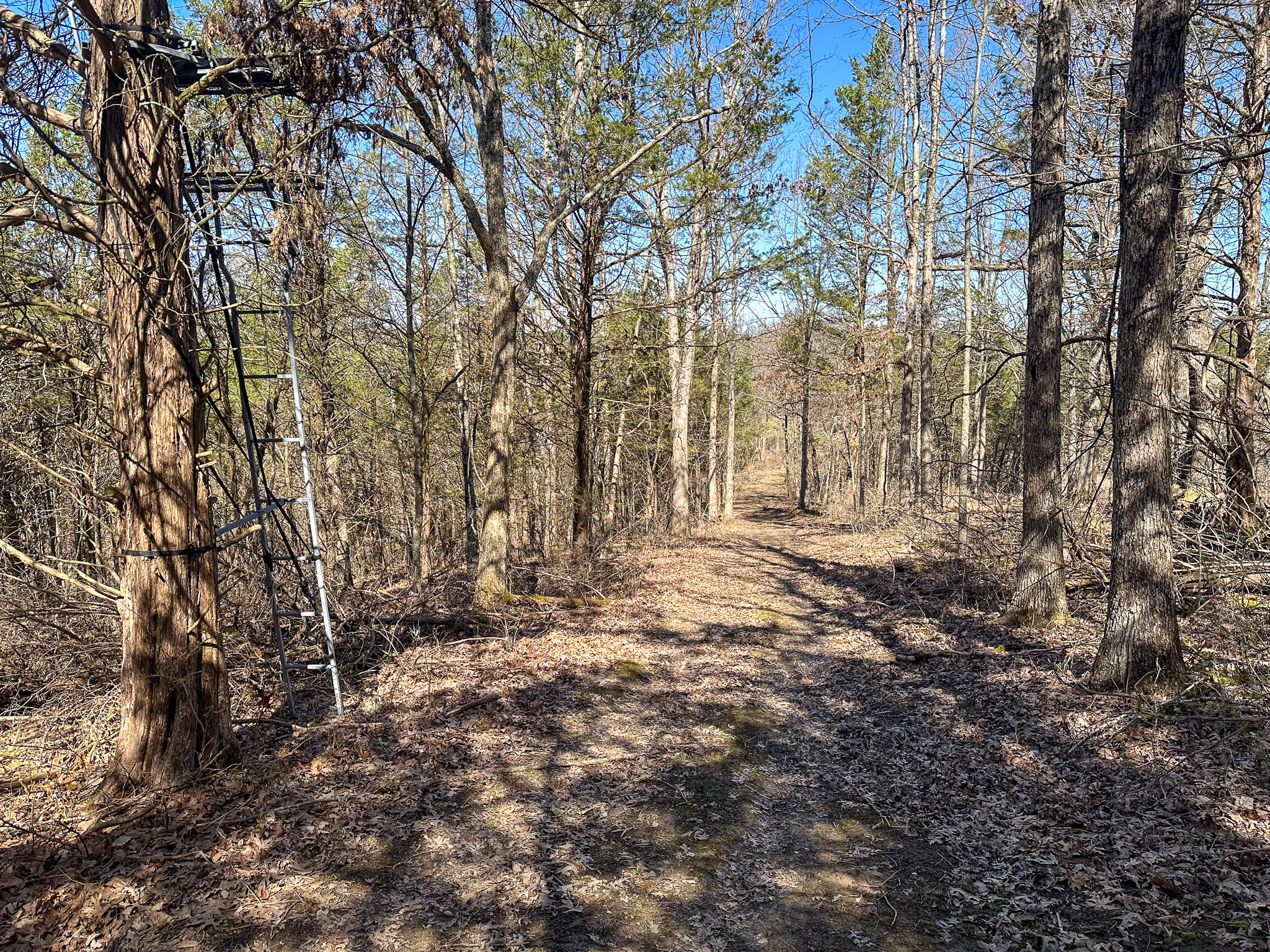 00 Fork Lick Road Property Photo 43