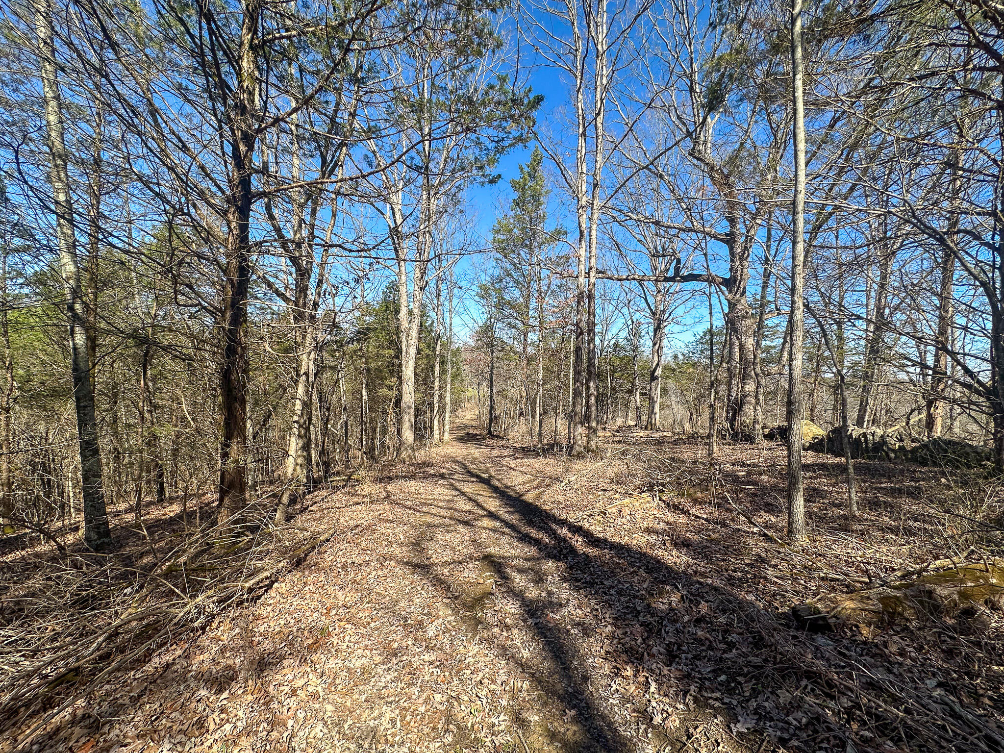 00 Fork Lick Road Property Photo 44