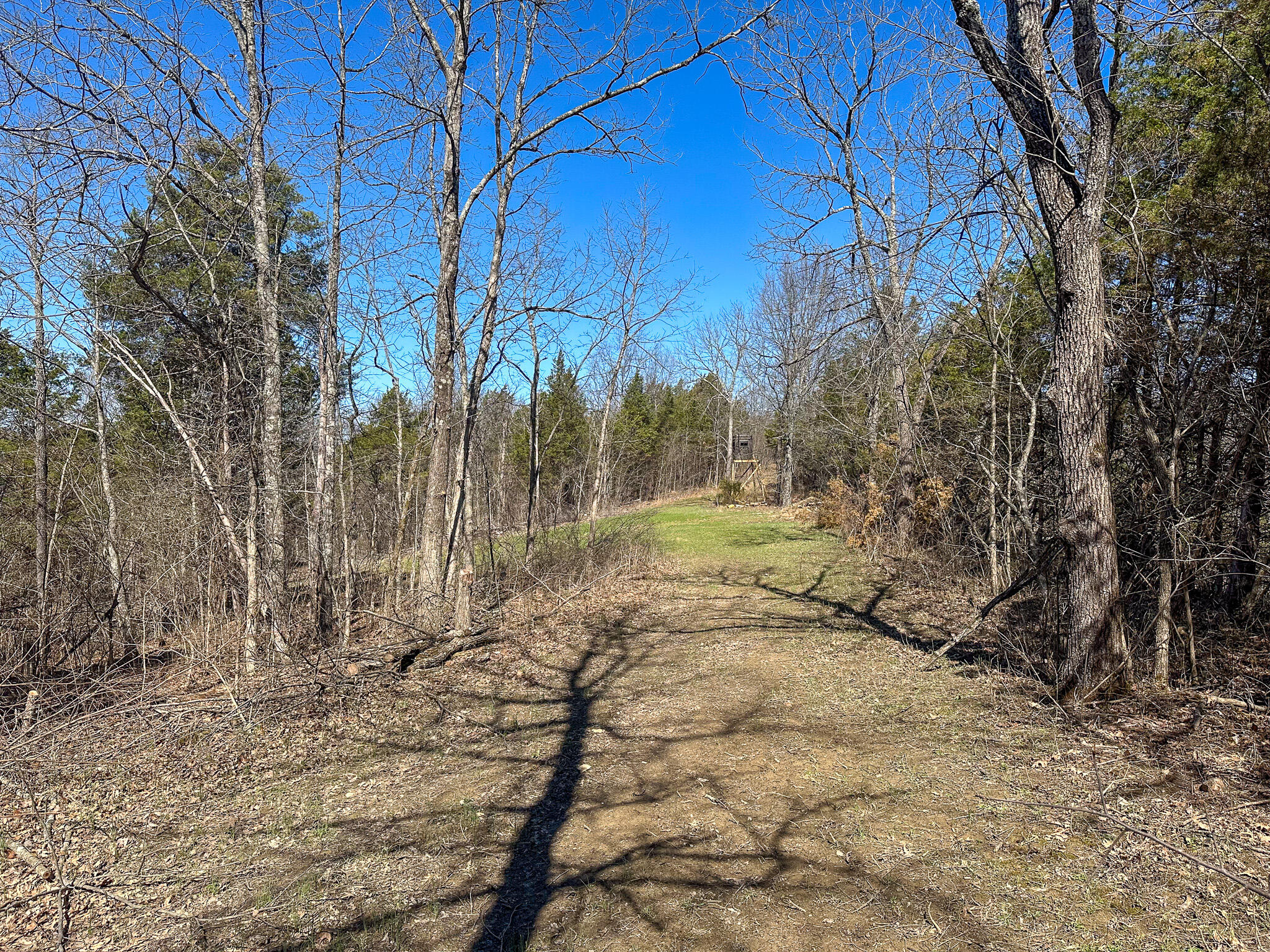 00 Fork Lick Road Property Photo 45