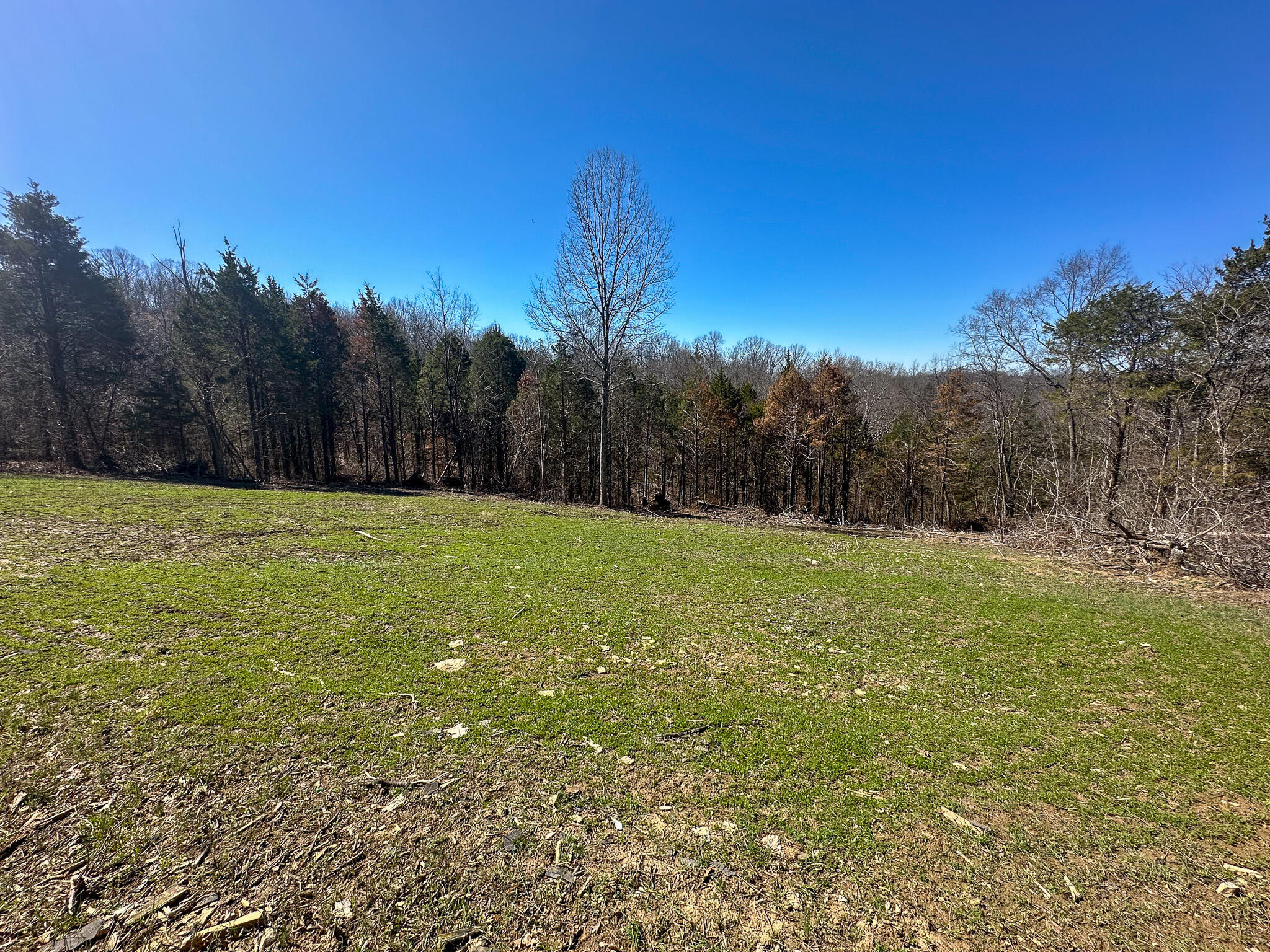 00 Fork Lick Road Property Photo 46