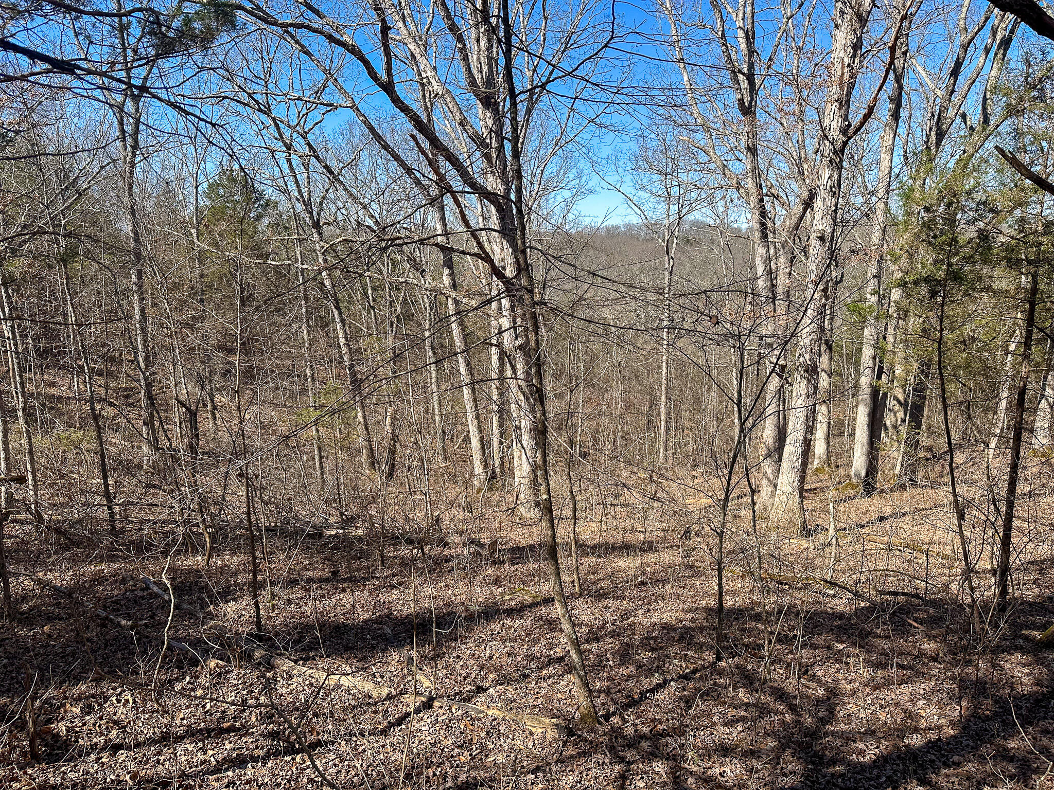 00 Fork Lick Road Property Photo 47