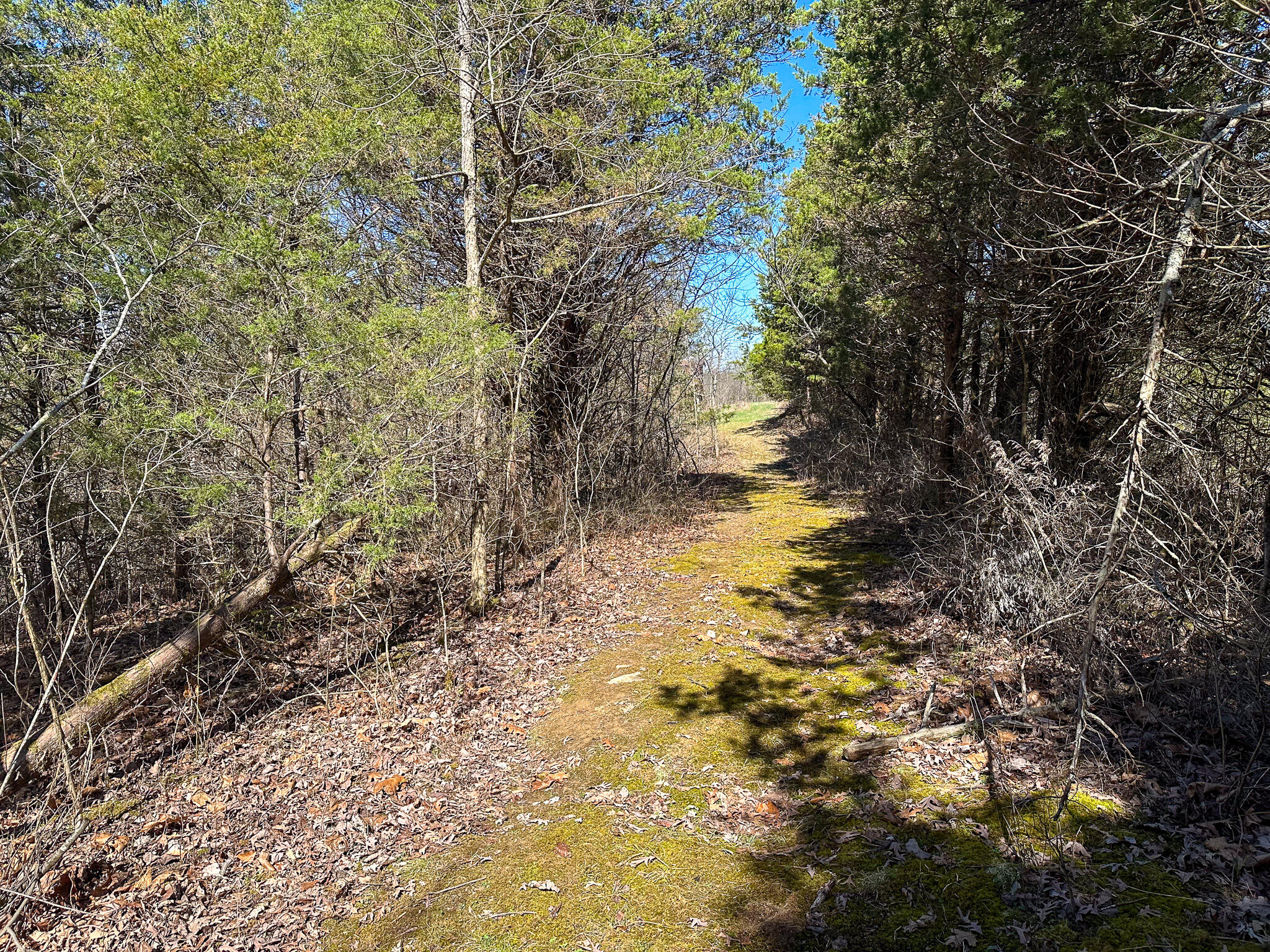 00 Fork Lick Road Property Photo 48