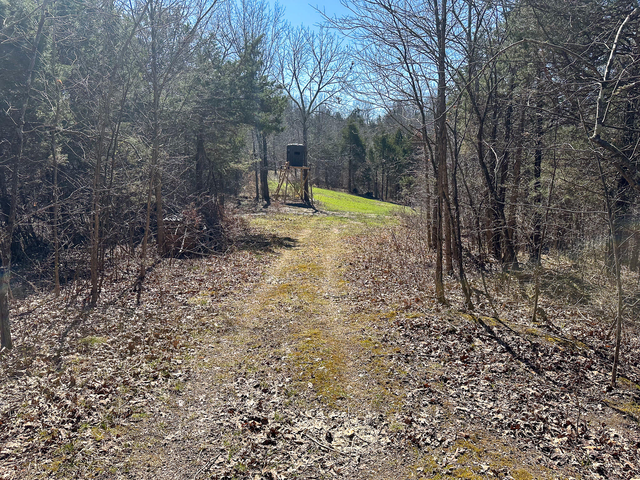 00 Fork Lick Road Property Photo 49